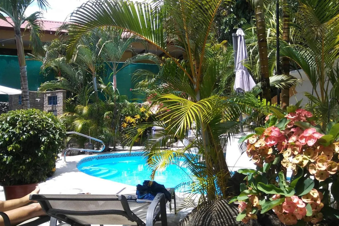 Area and facilities in Coyaba Tropical Elegant Adult Guesthouse