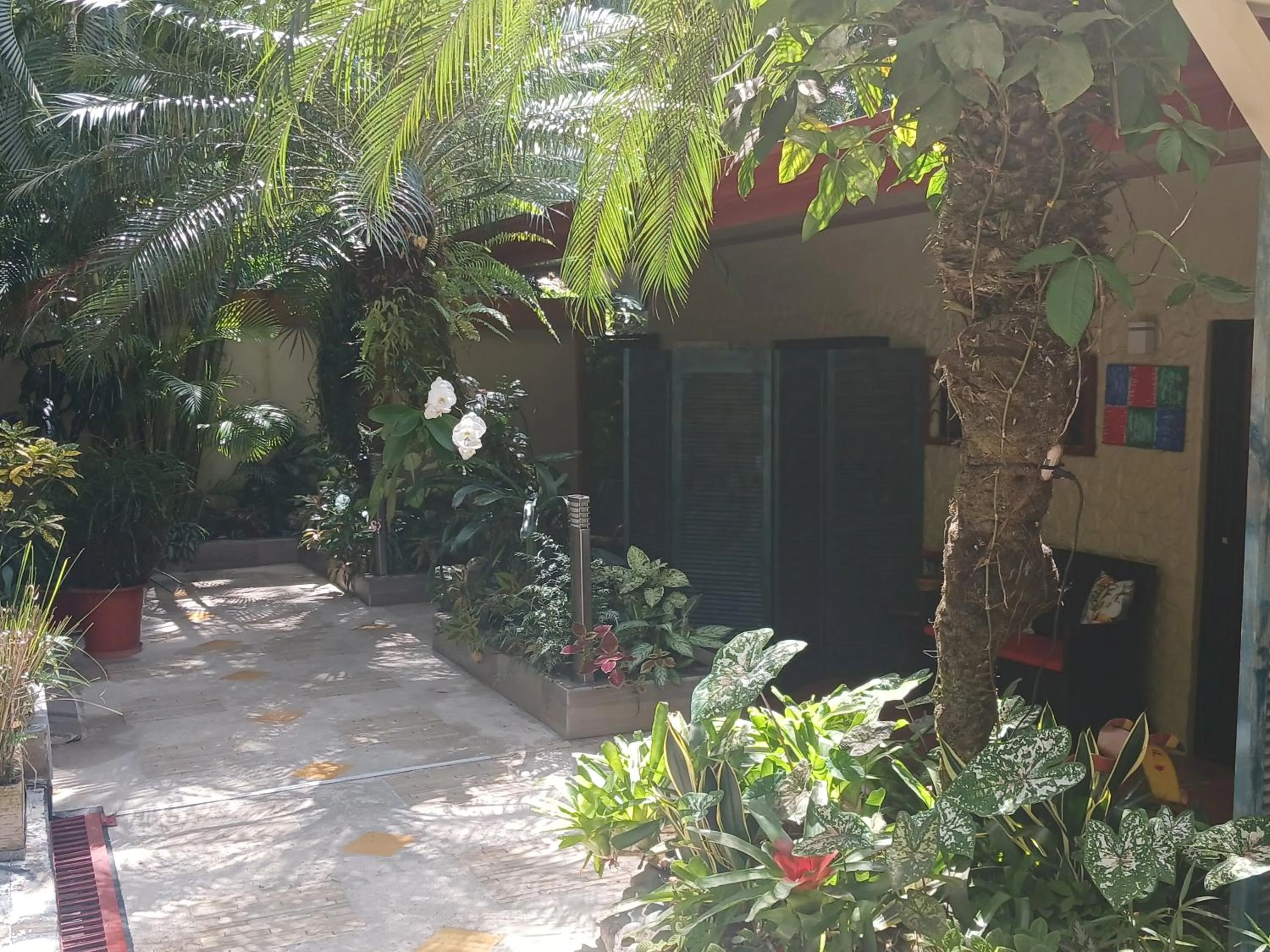 Facade/entrance in Coyaba Tropical Elegant Adult Guesthouse