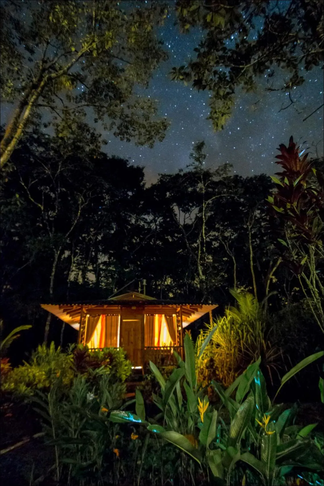 Photo of the whole room in Lirio Lodge