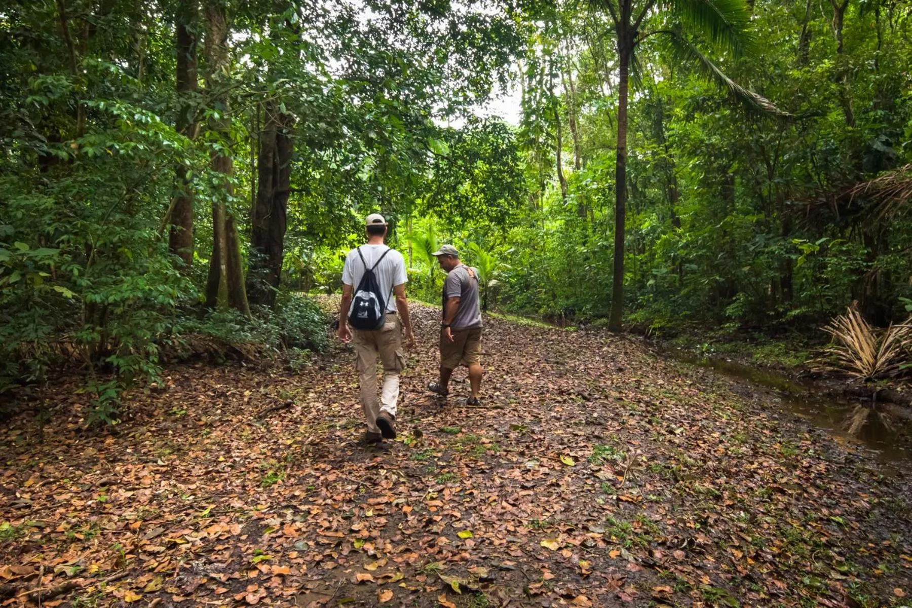 Activities in Lirio Lodge