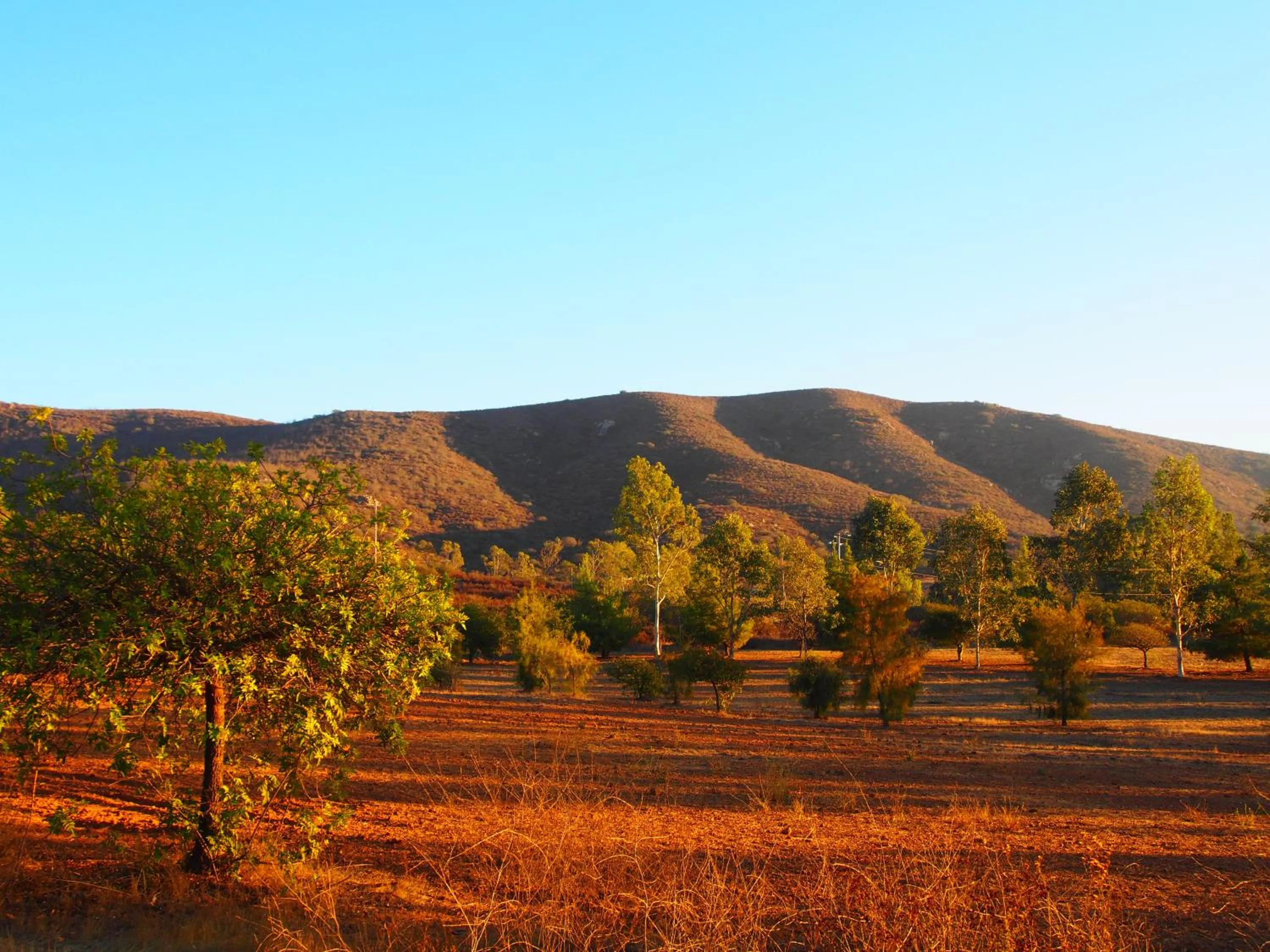 Natural landscape in Casa Mayoral B&B Pet friendly
