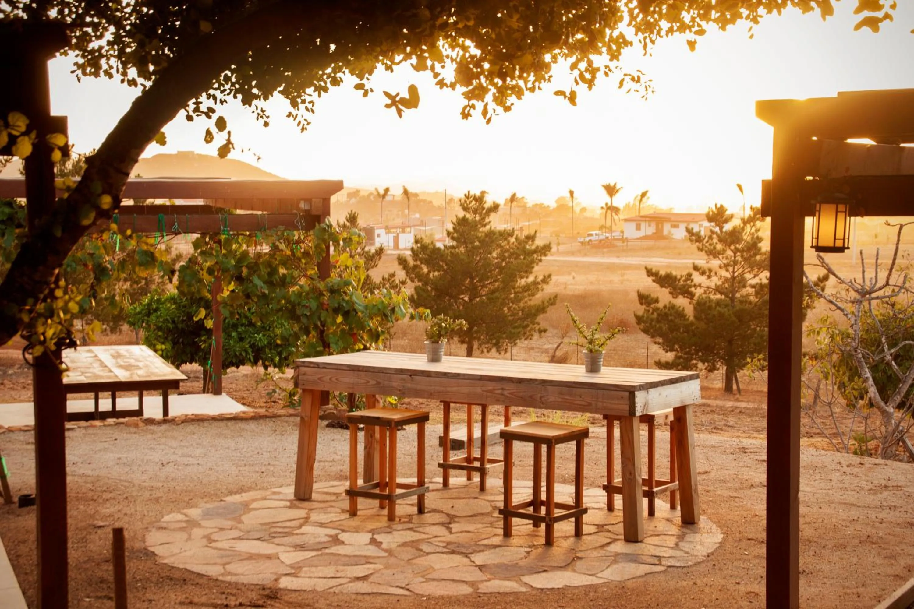 View (from property/room) in Casa Mayoral B&B Pet friendly