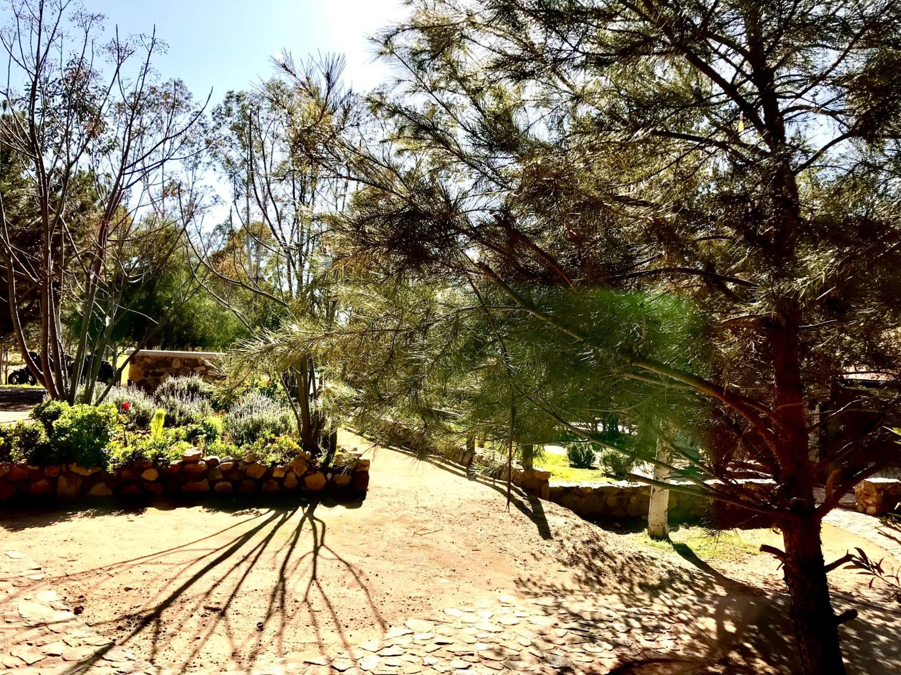 Garden in Casa Mayoral B&B Pet friendly