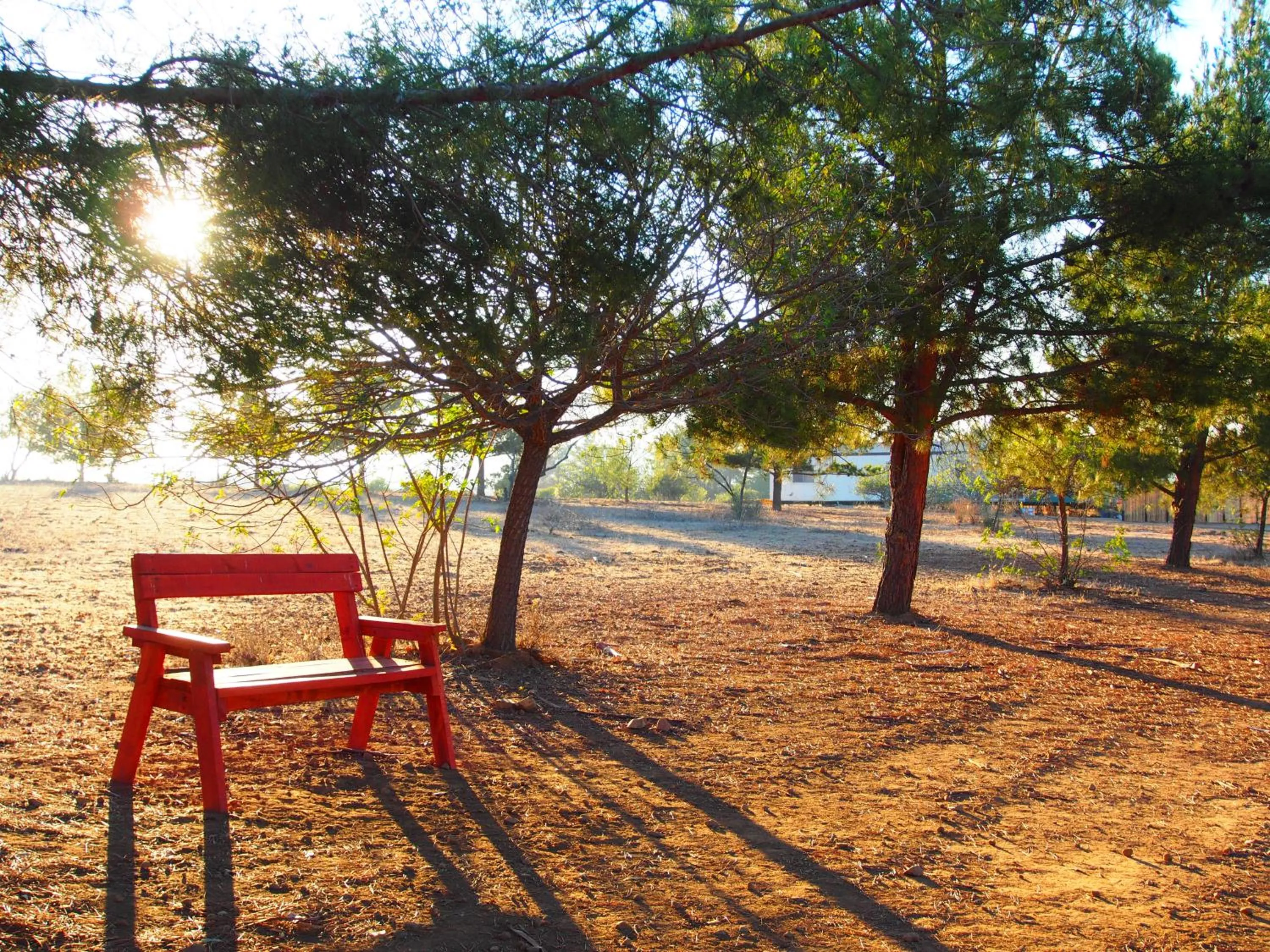 Natural landscape in Casa Mayoral B&B Pet friendly