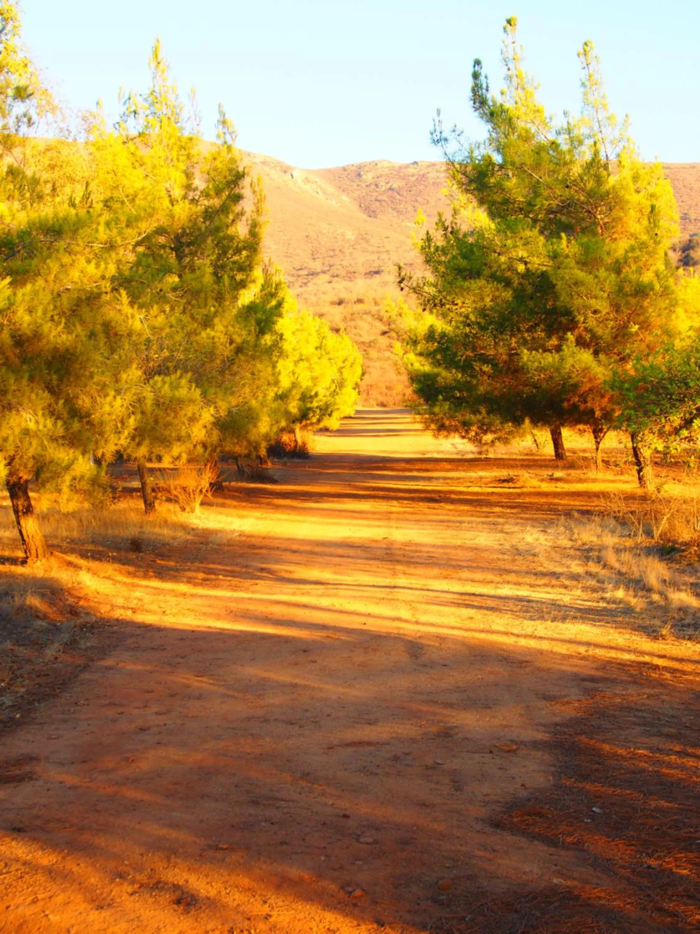 Day in Casa Mayoral B&B Pet friendly