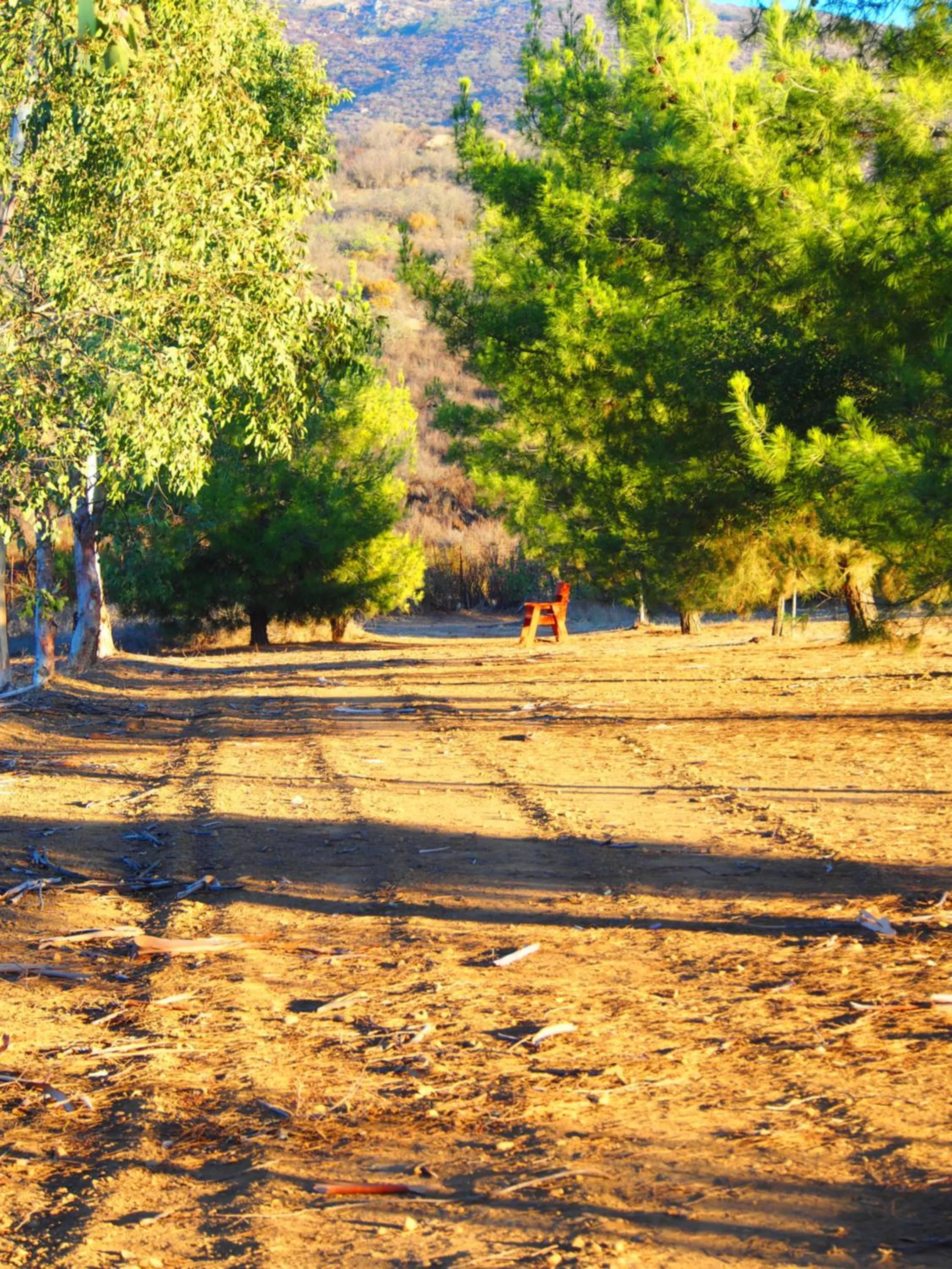 Day in Casa Mayoral B&B Pet friendly