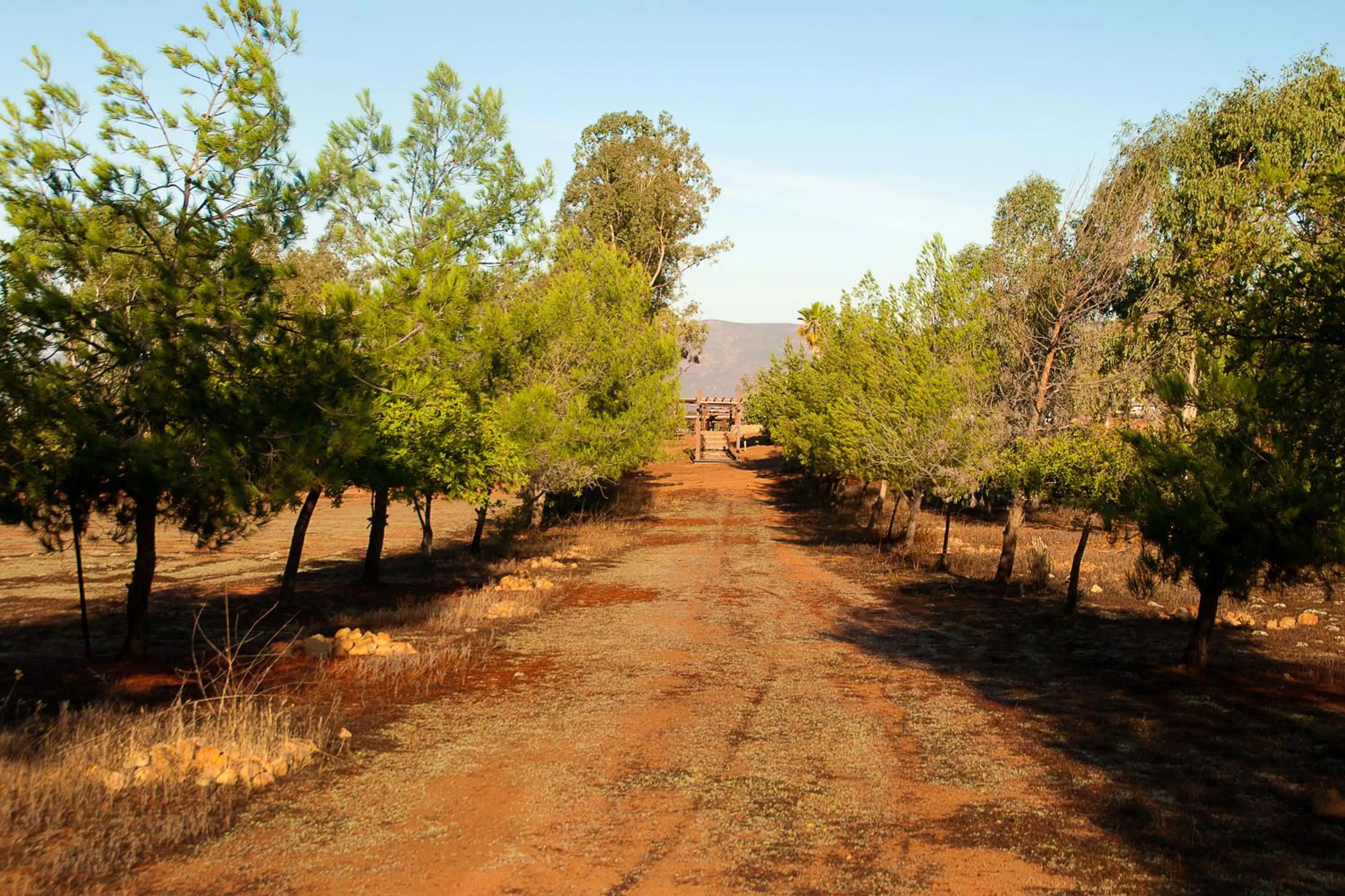 Day in Casa Mayoral B&B Pet friendly