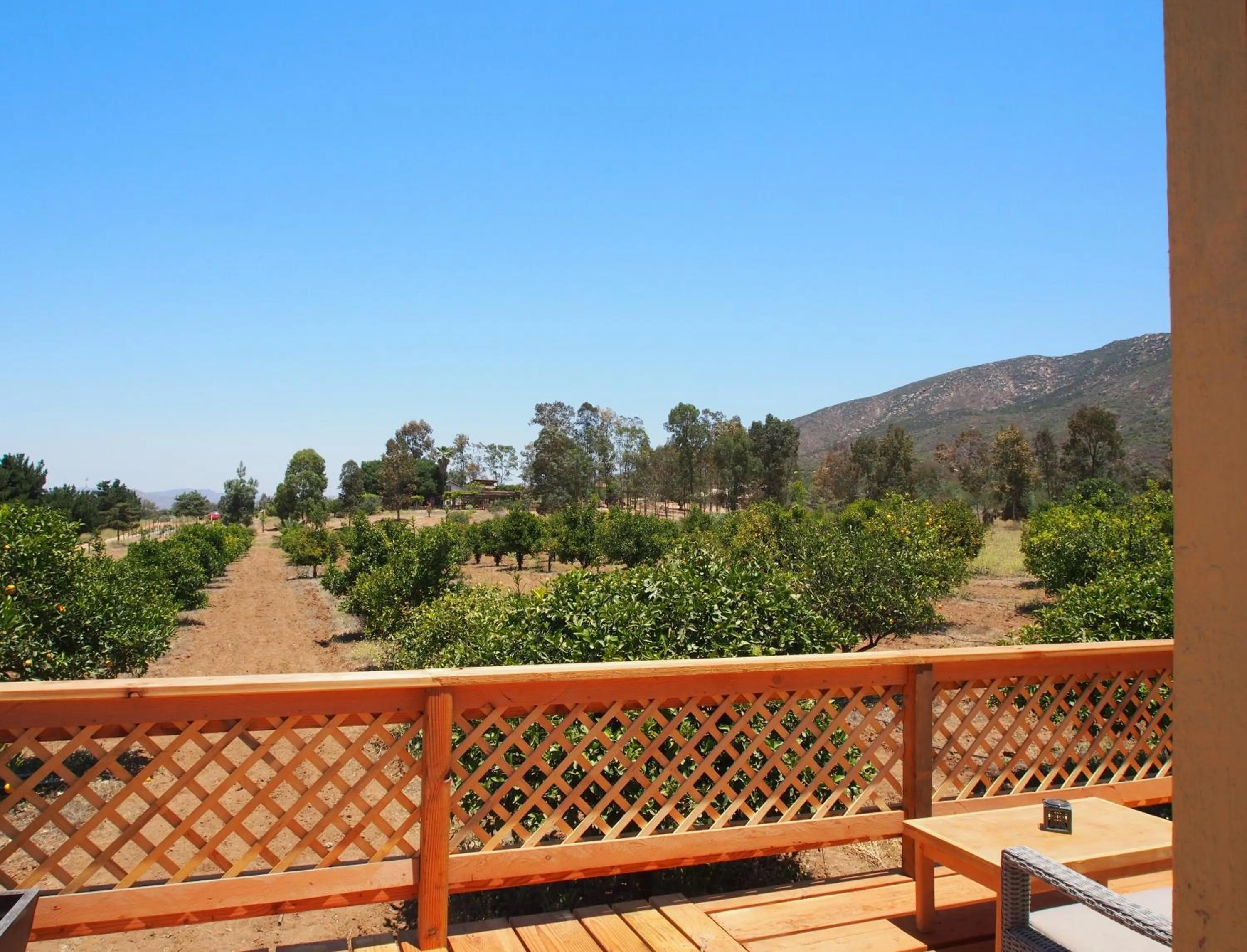 Natural landscape in Casa Mayoral B&B Pet friendly