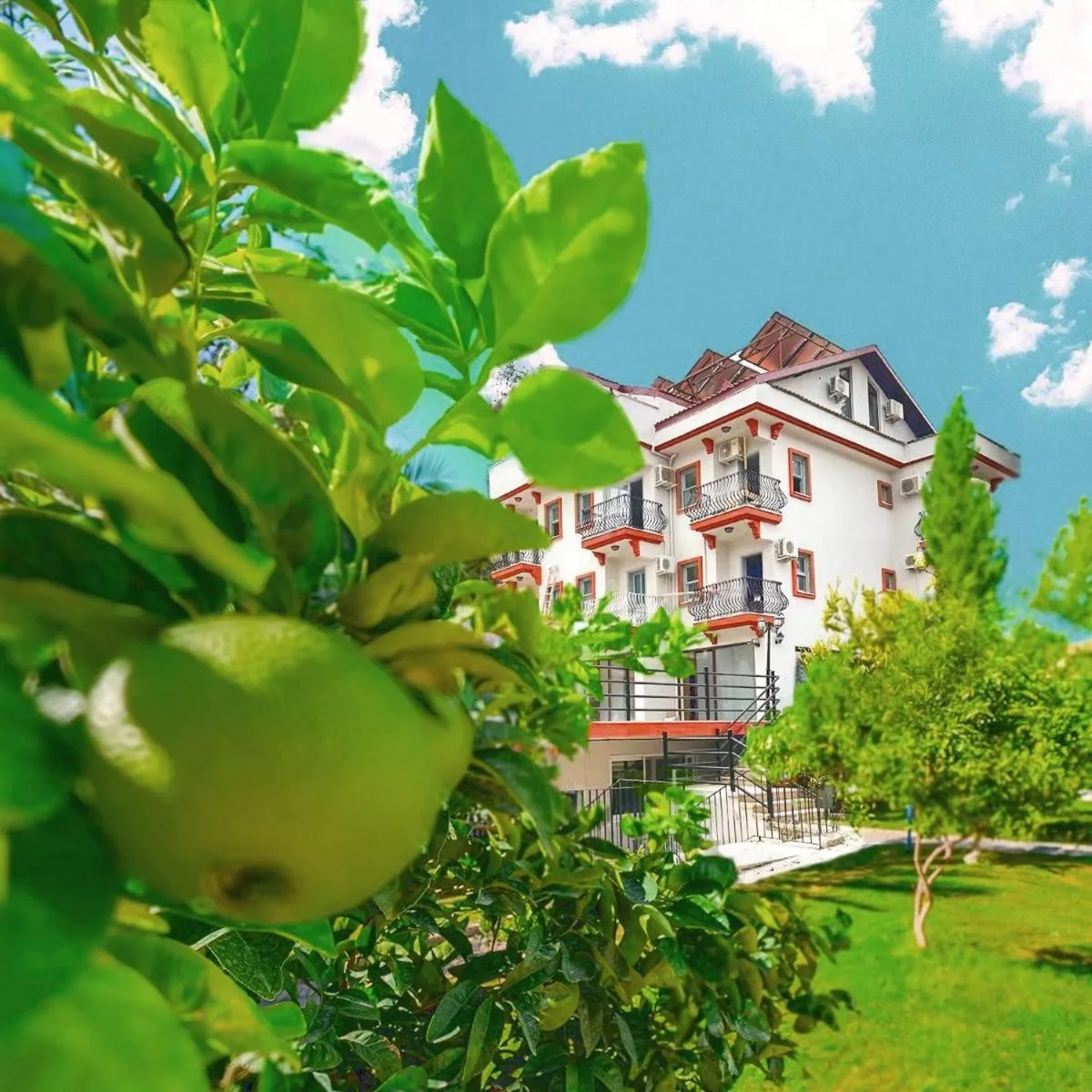 Property building in Casa De Levıssı Ölüdeniz