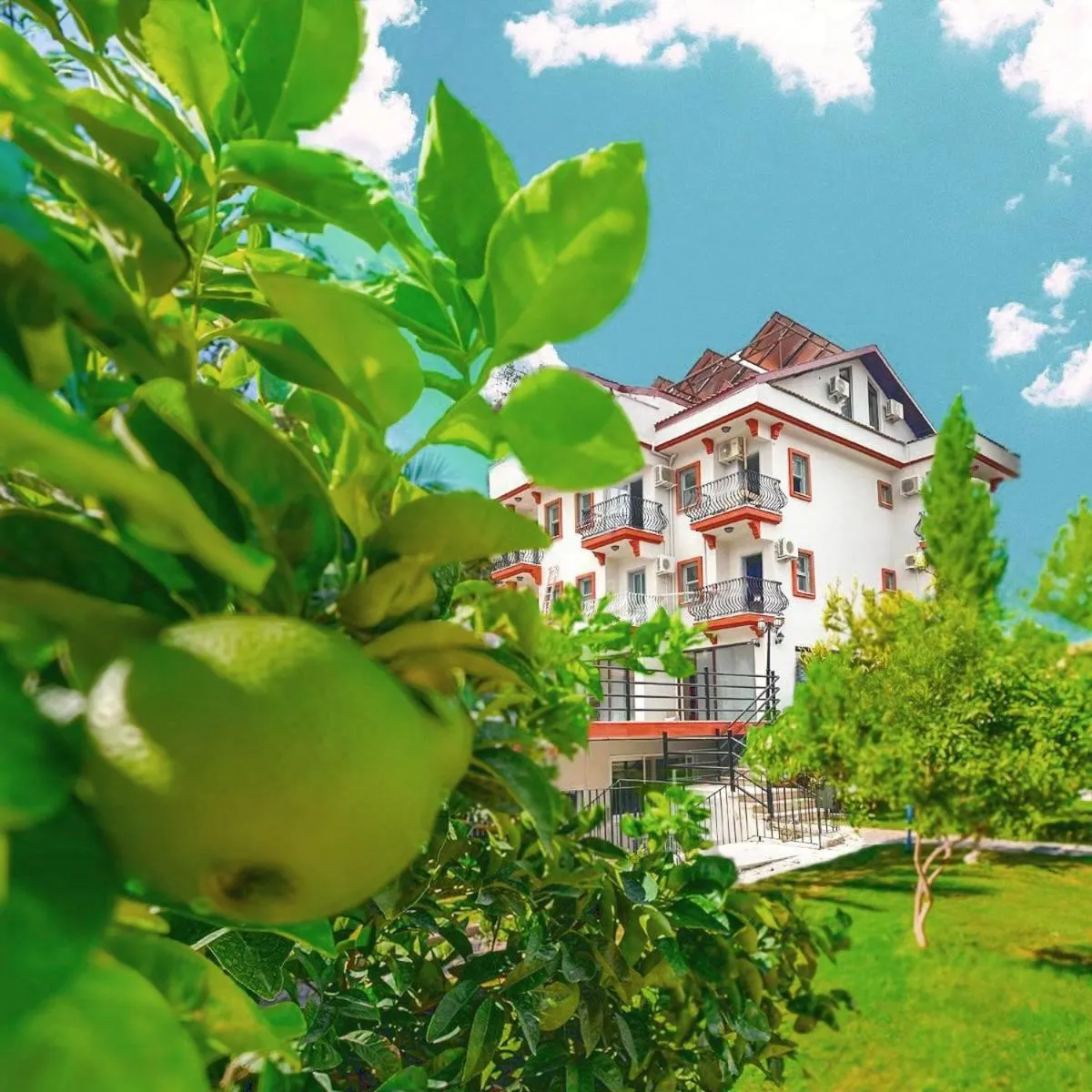 Property building in Casa De Levıssı Ölüdeniz