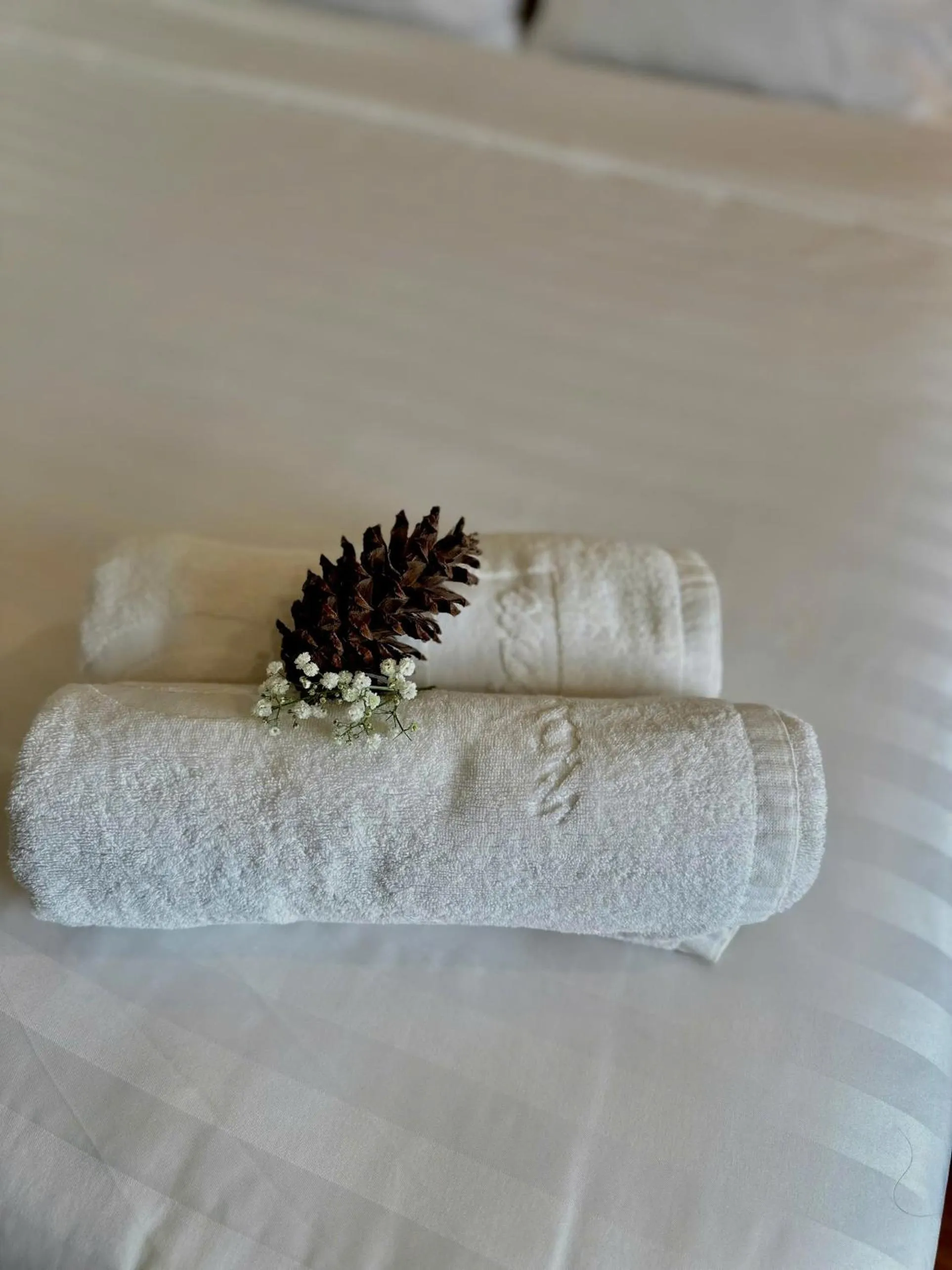 Moc Nha Minh Hotel Da Lat