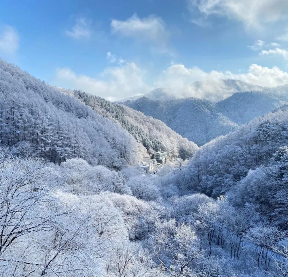Leesangwon Museum of Art - Museumstay