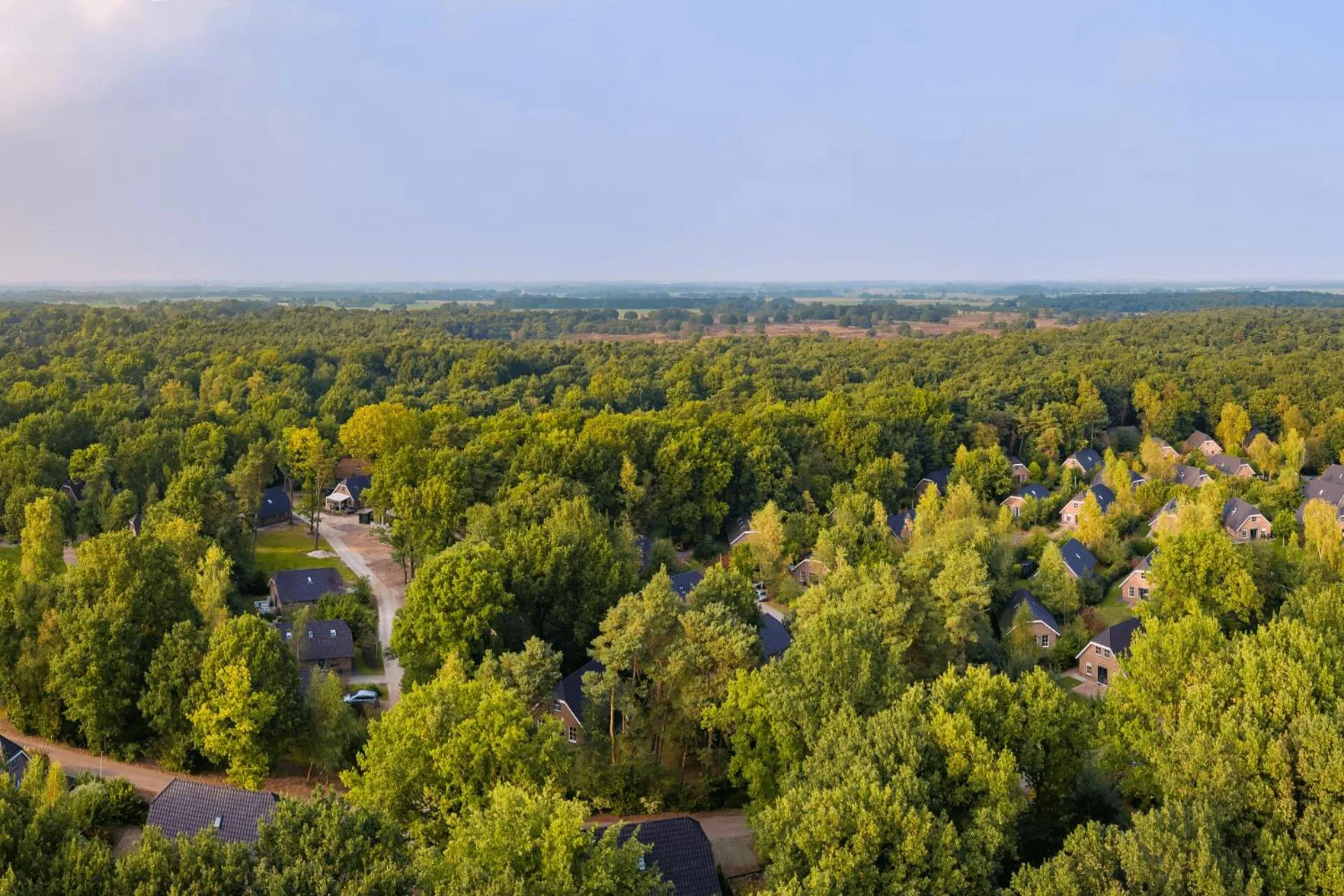 Natural landscape in Landgoed Het Grote Zand
