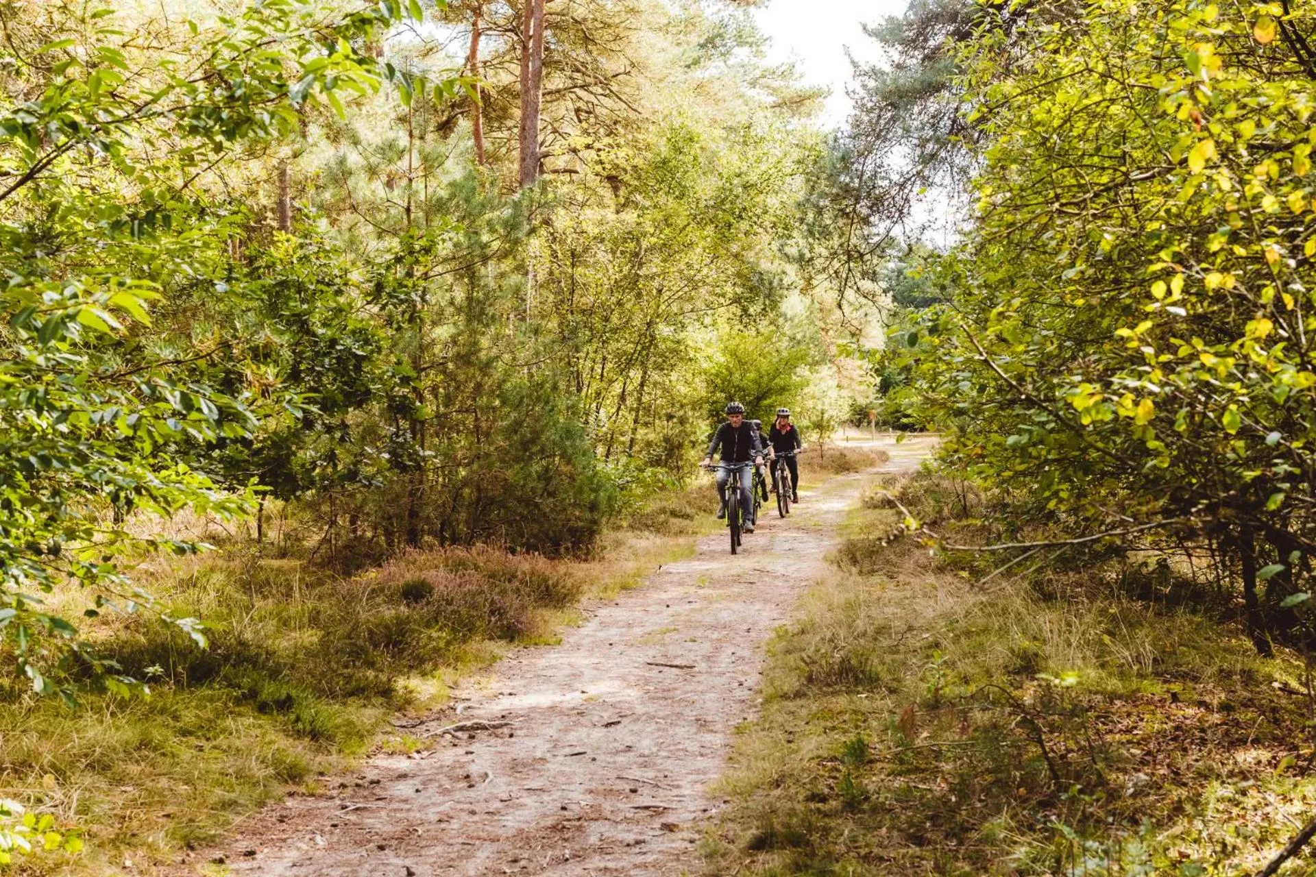 Cycling in Landgoed Het Grote Zand