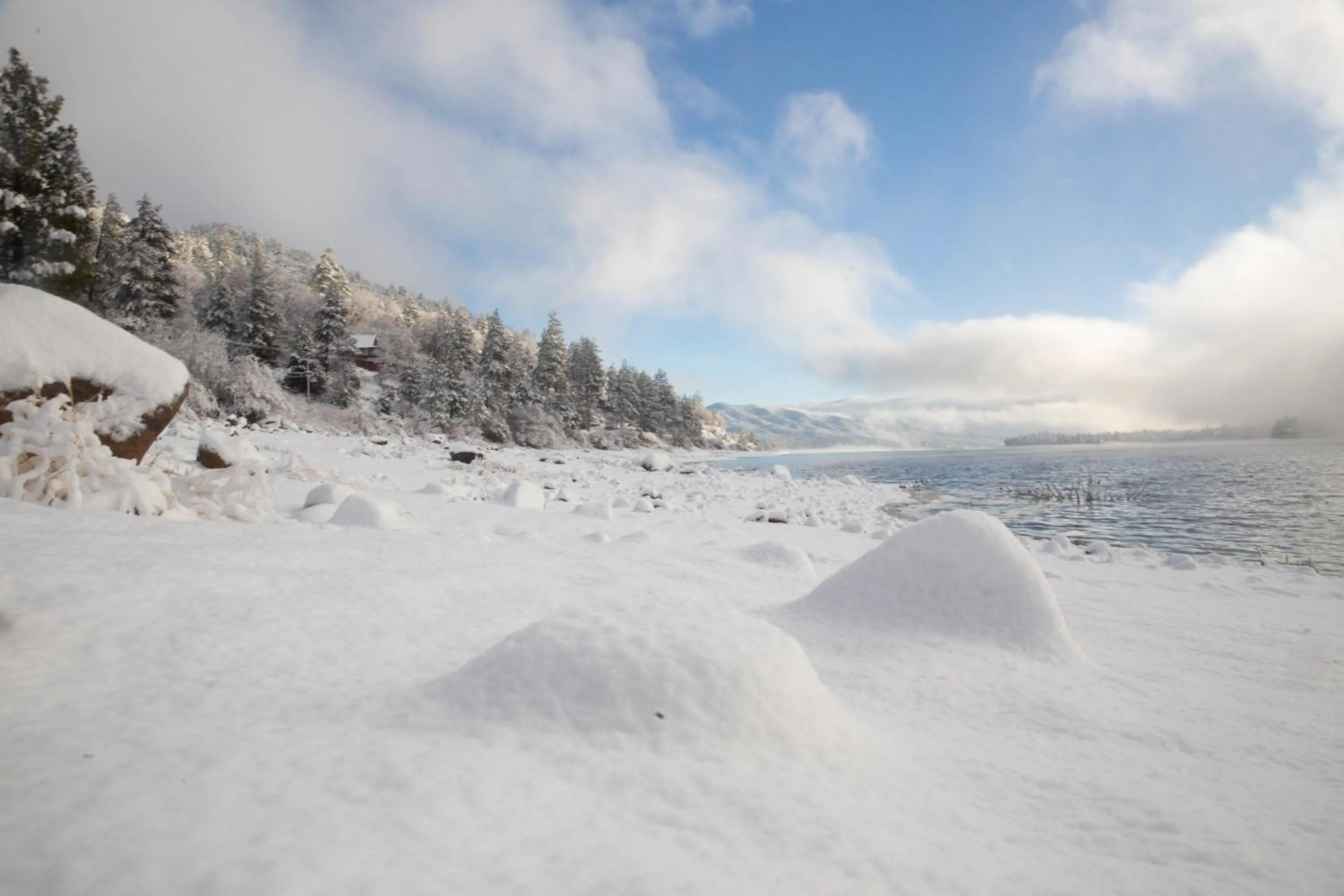 Natural landscape in Embers Lodge & Cabins