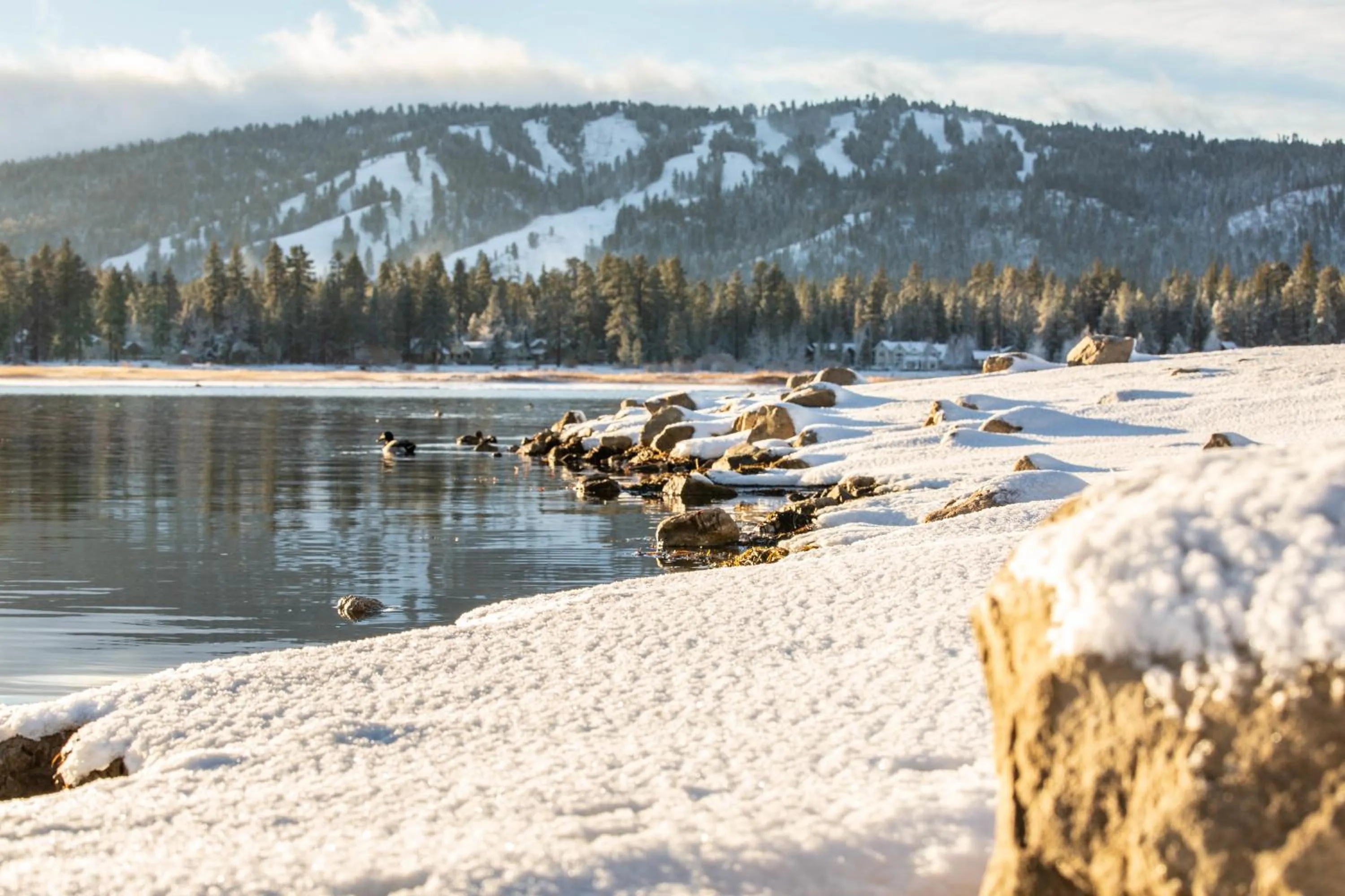 Natural landscape in Embers Lodge & Cabins