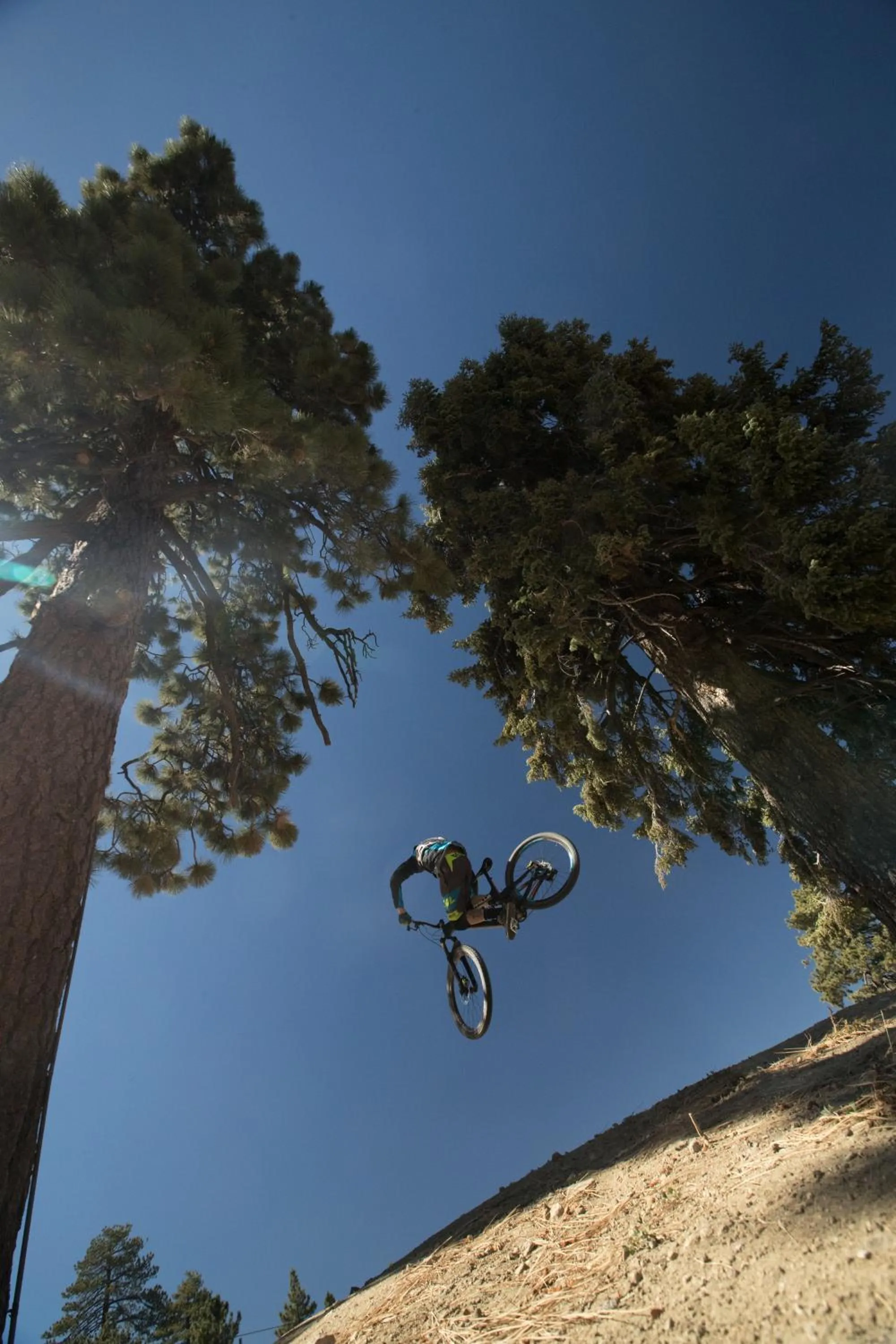 Cycling in Embers Lodge & Cabins