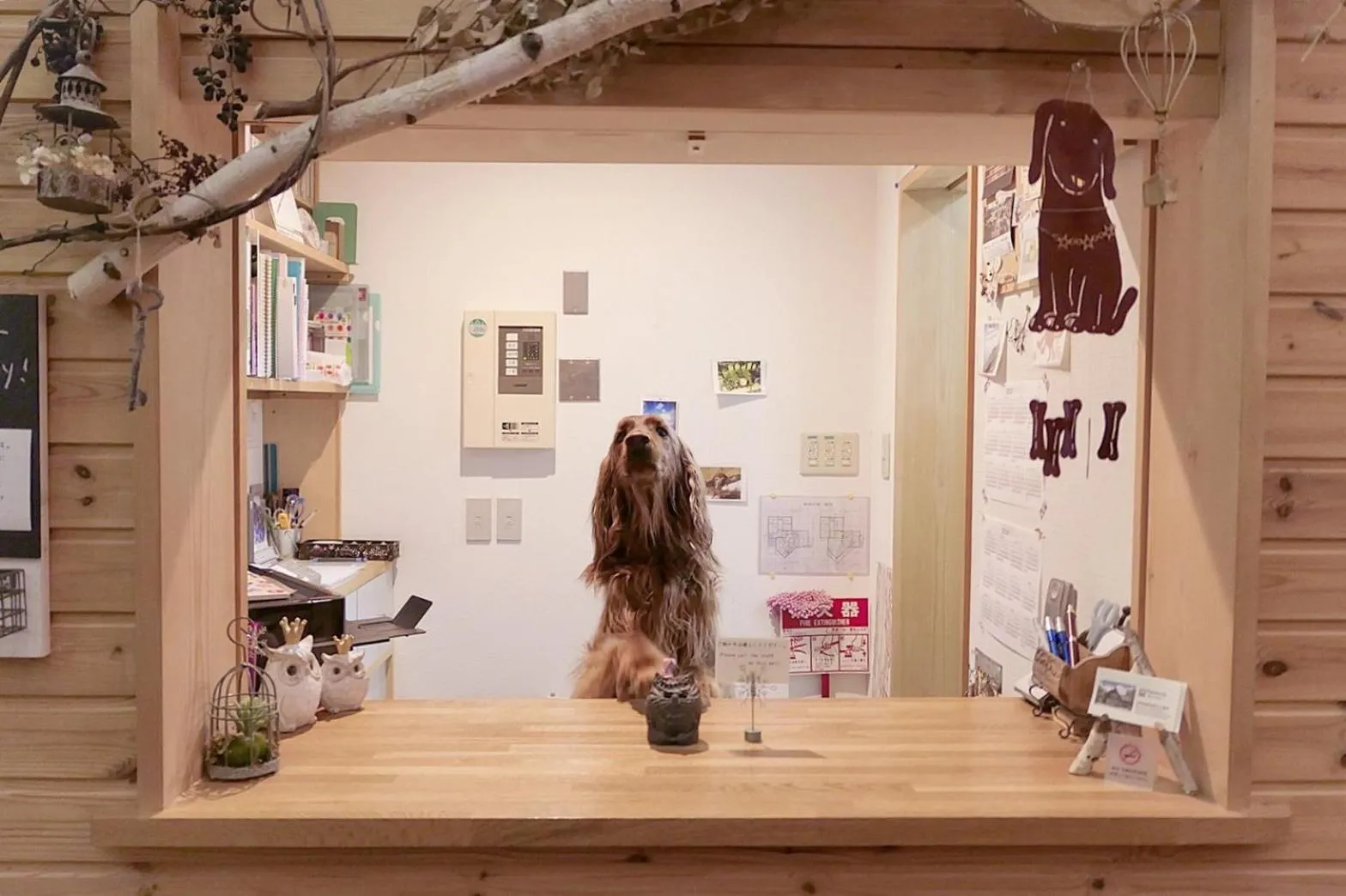 Staff in Pension Gooseberry