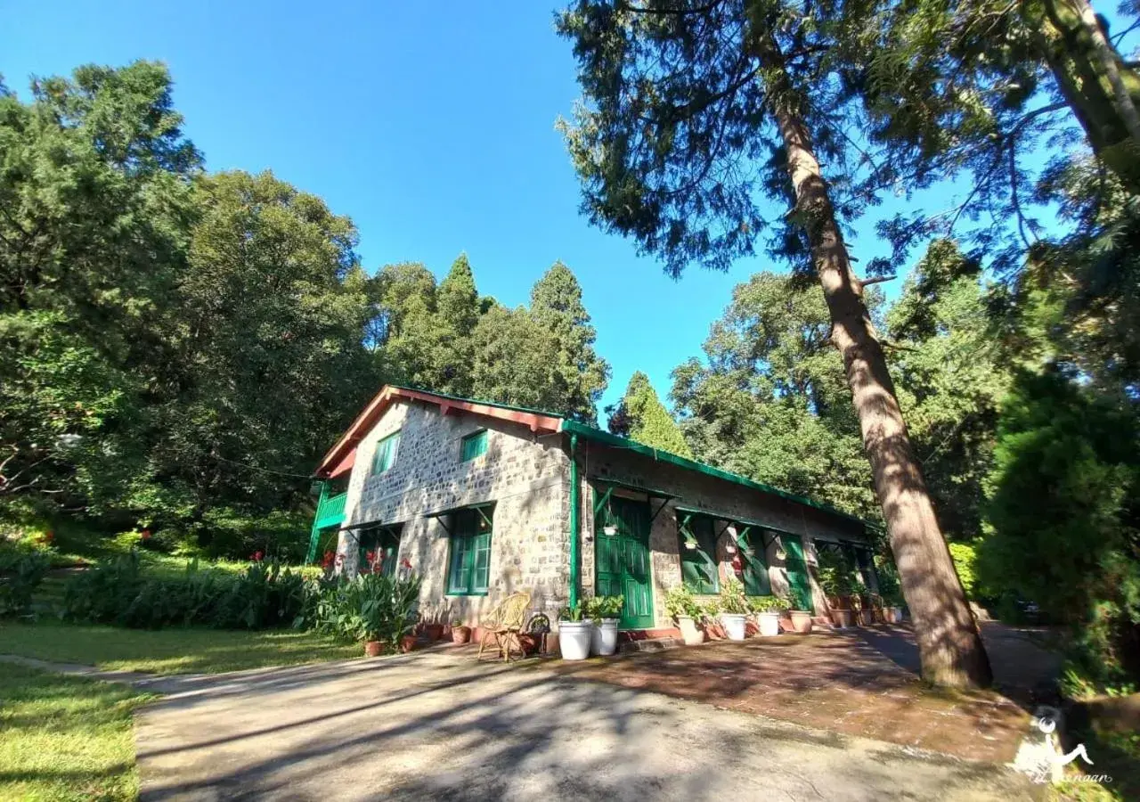 Fredy's Bungalow near Nainital Fredy's Bungalow near Nainital