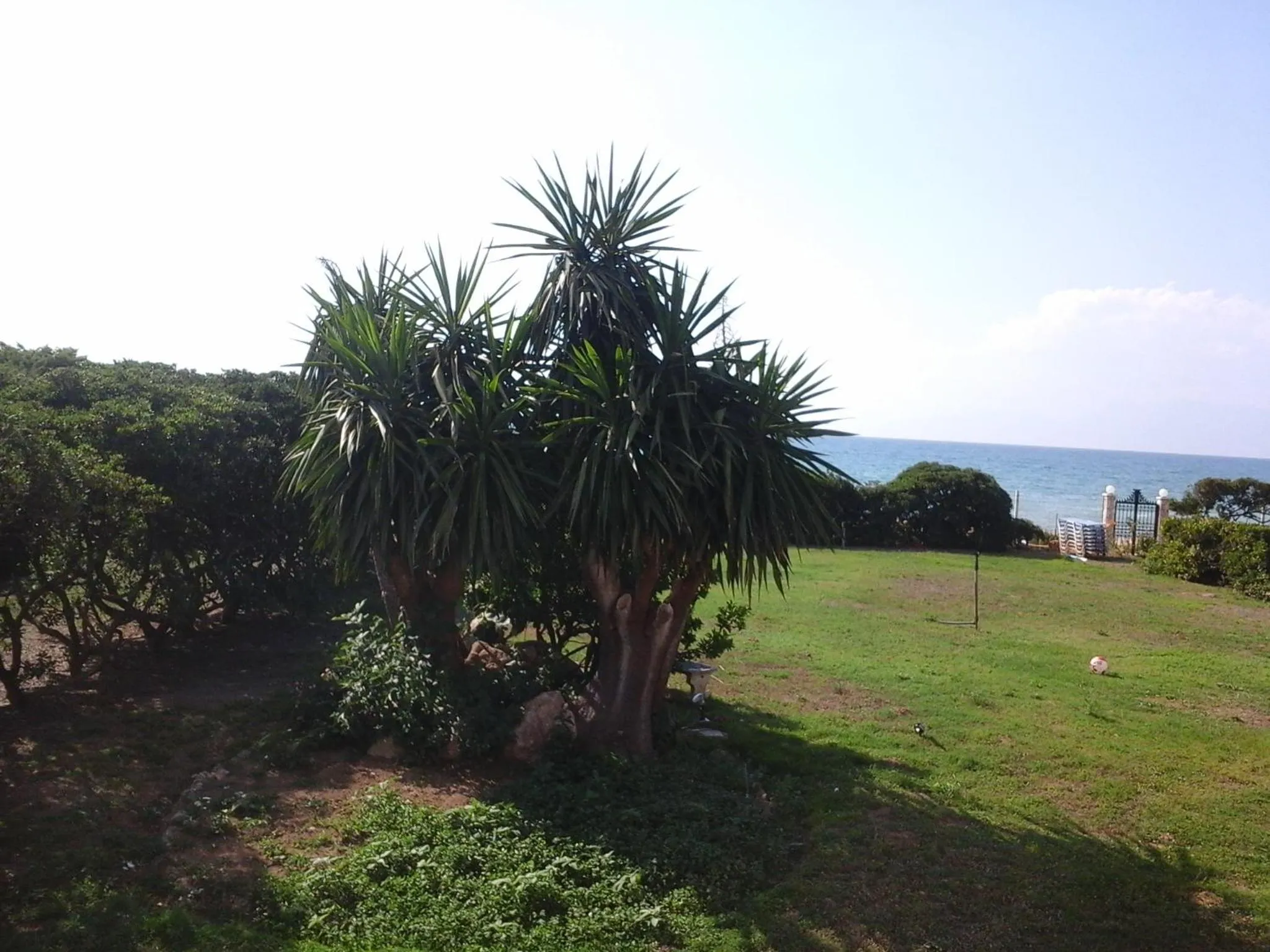 Off site in Akti Anastasia