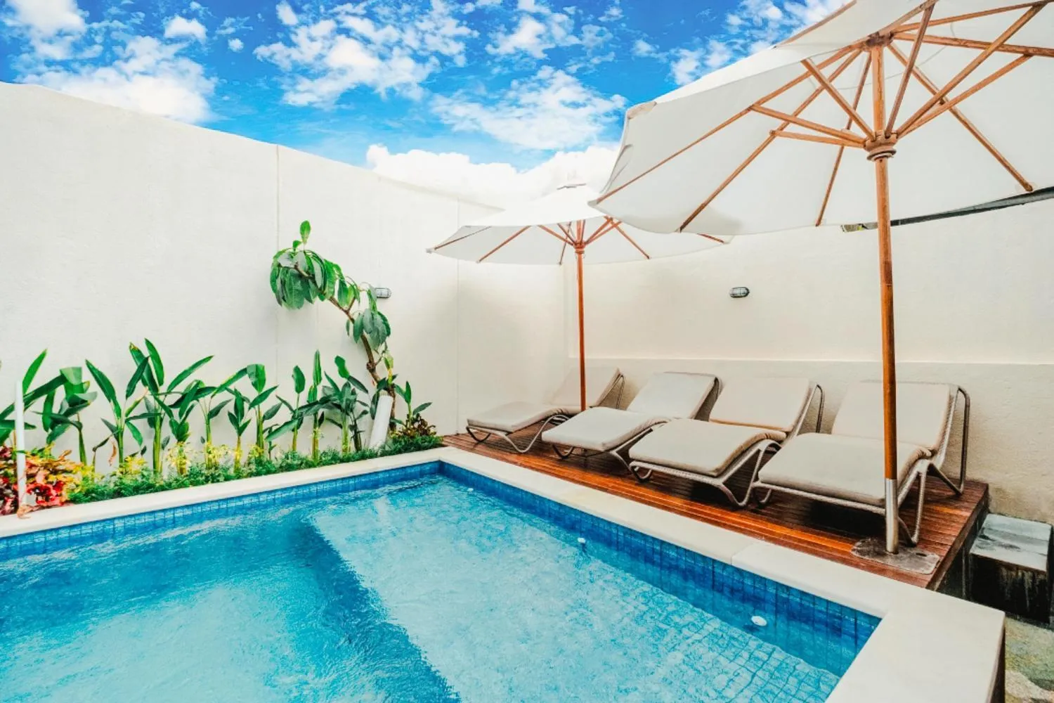 Pool view in Turtle Shelter Guest House