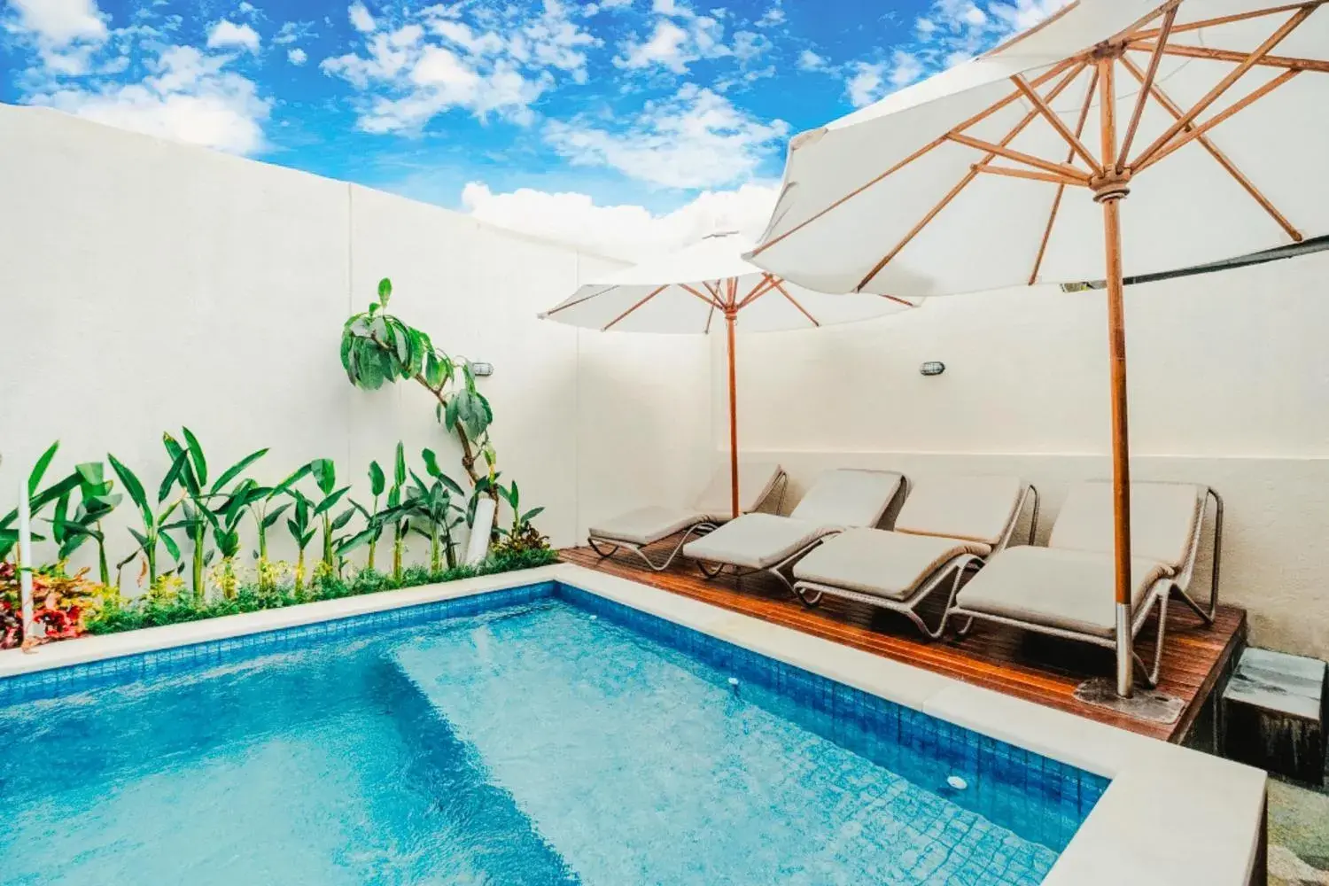 Pool view in Turtle Shelter Guest House Pool view in Turtle Shelter Guest House