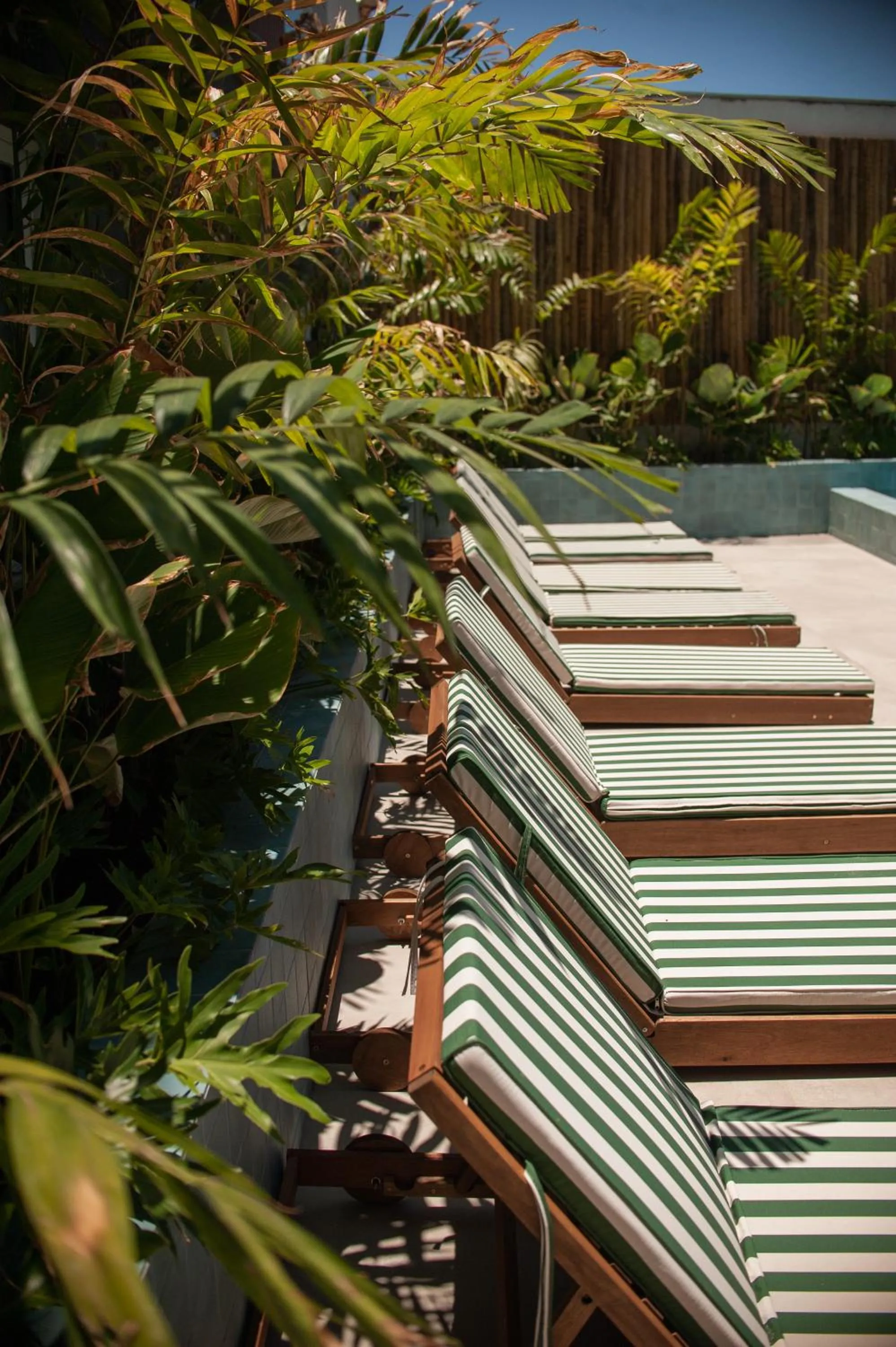 Day in Arraial Concept Hotel