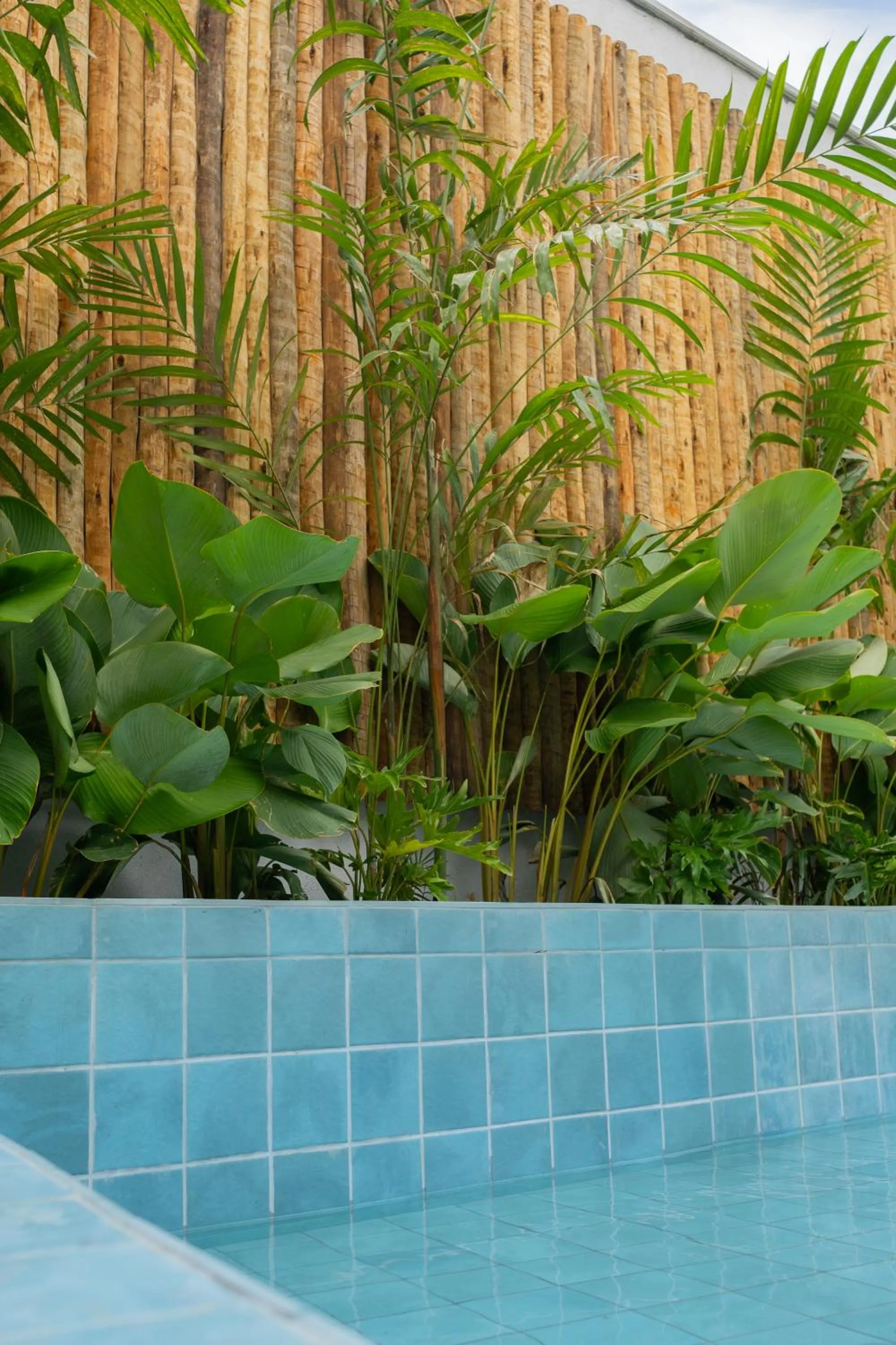 Natural landscape in Arraial Concept Hotel