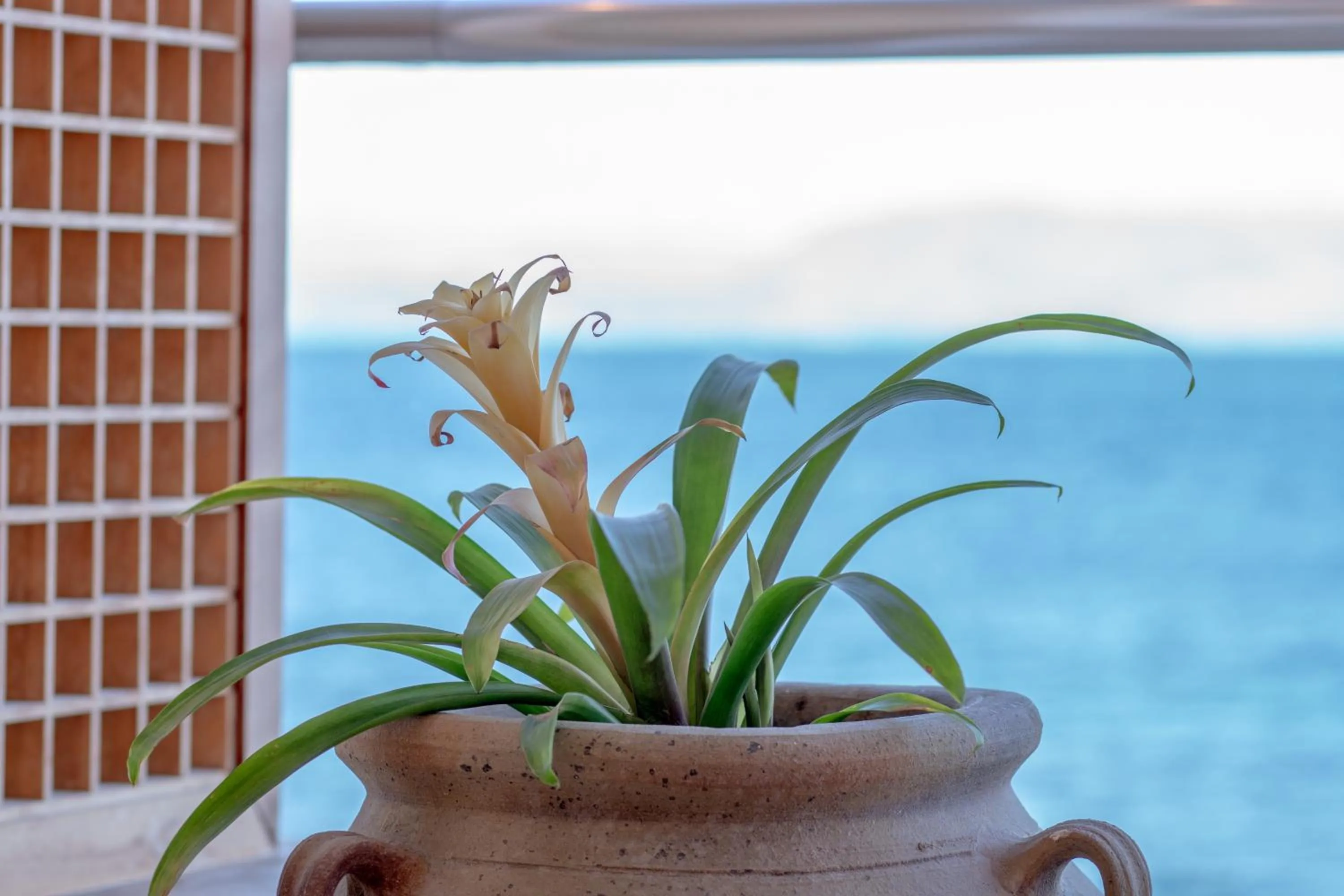 Lobby or reception in Corfu Maris