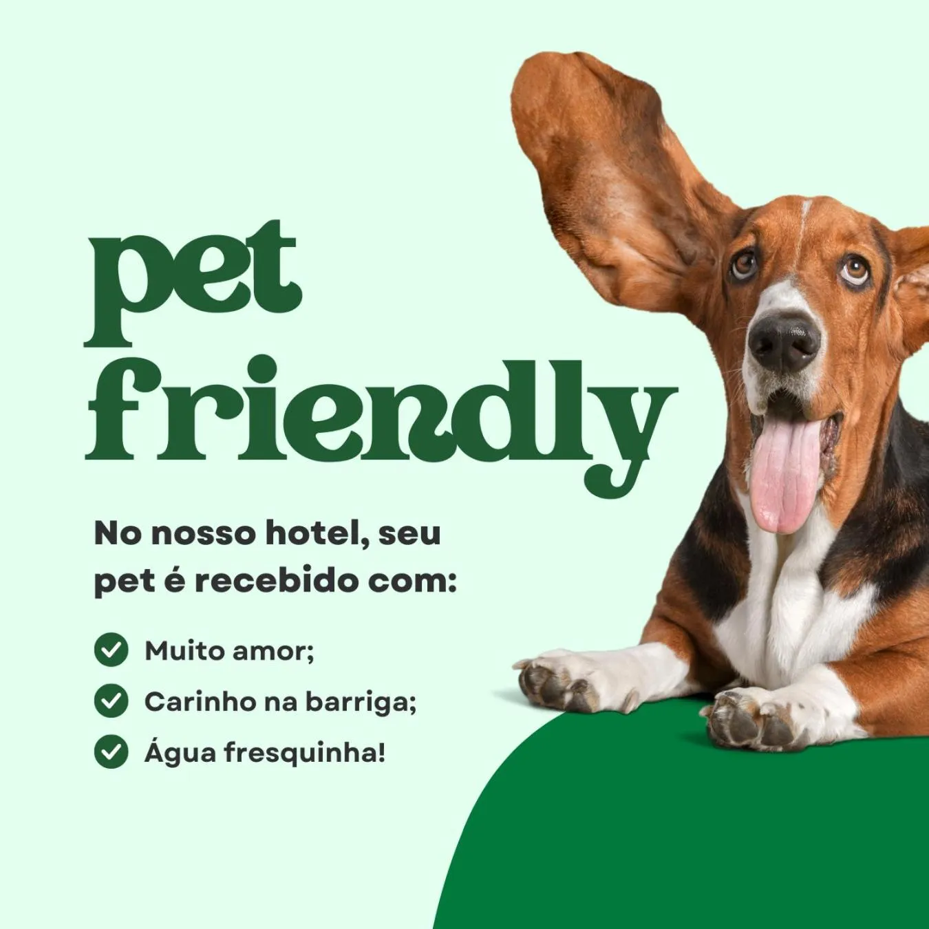 Pets in Hotel Village Icaraí