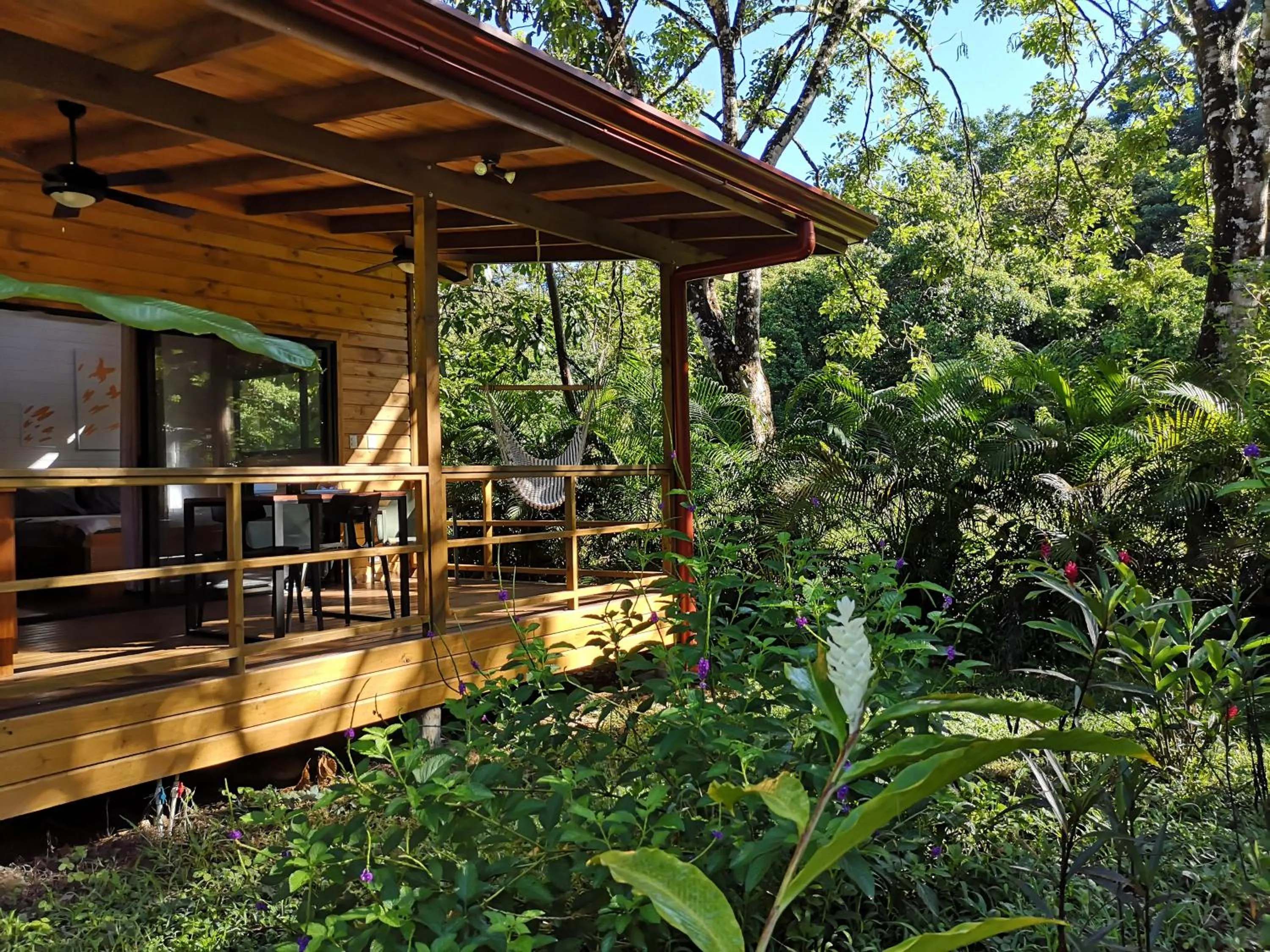 Garden in Thoas Lodge