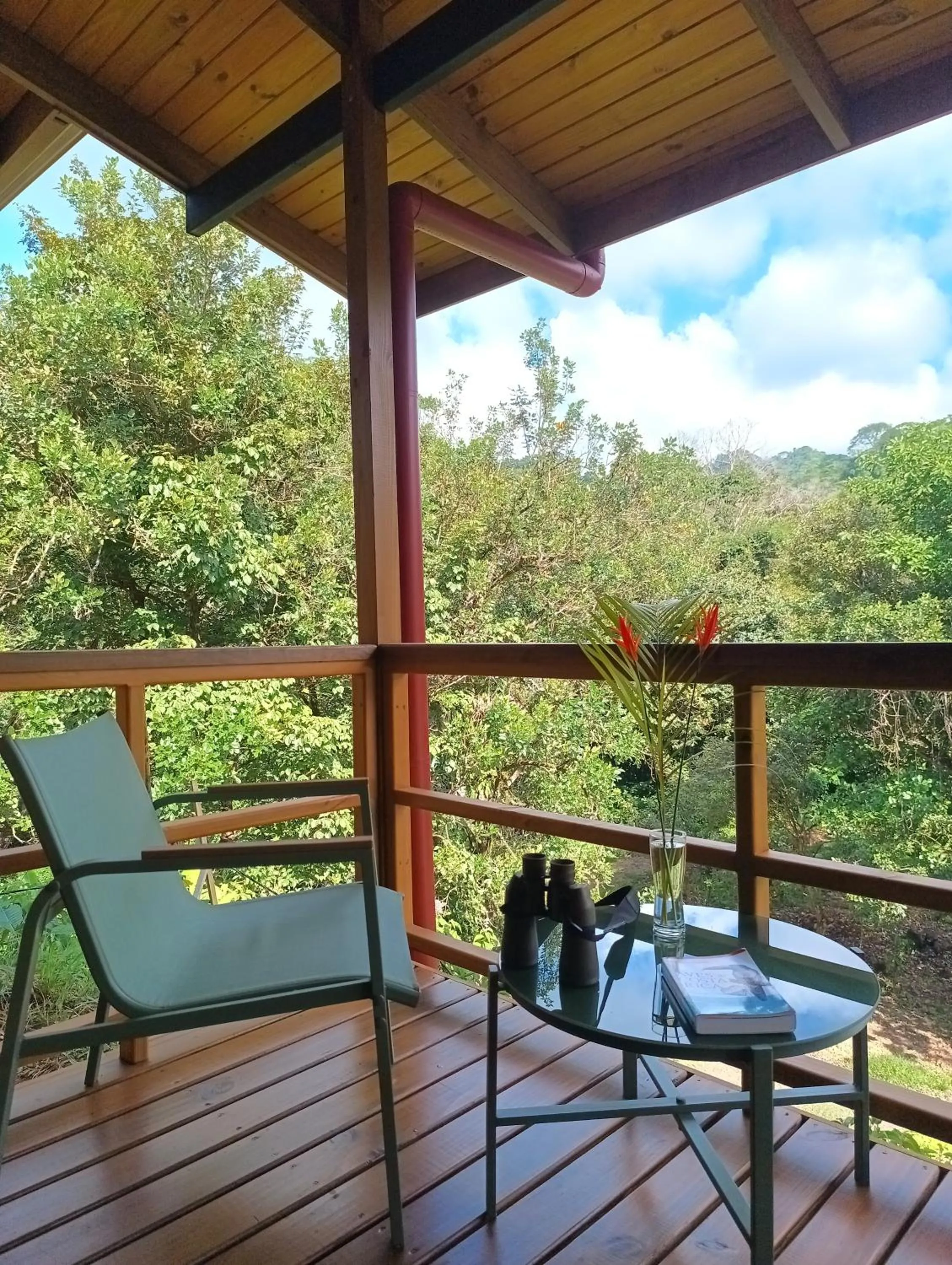 Patio in Thoas Lodge