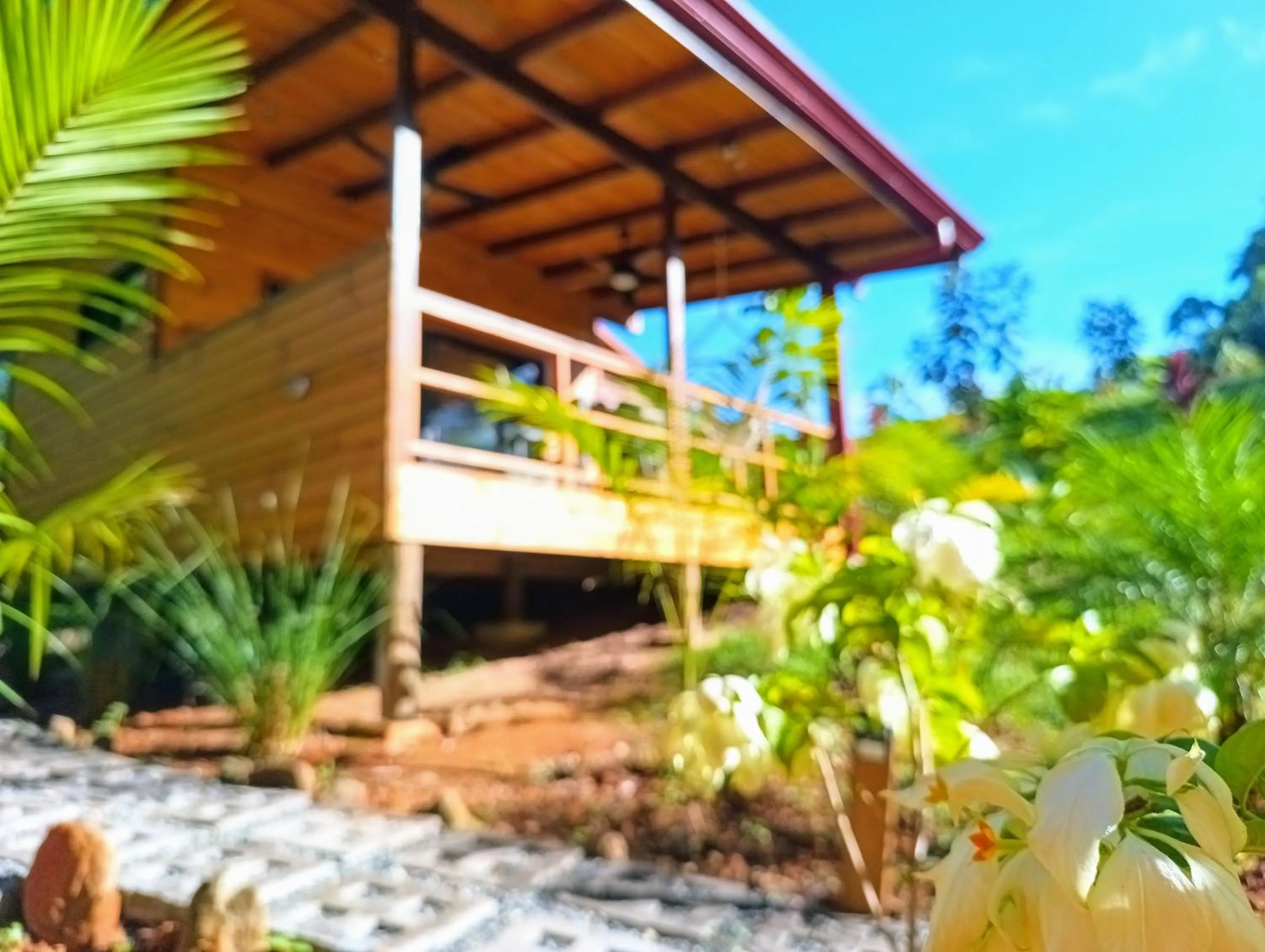 Garden in Thoas Lodge