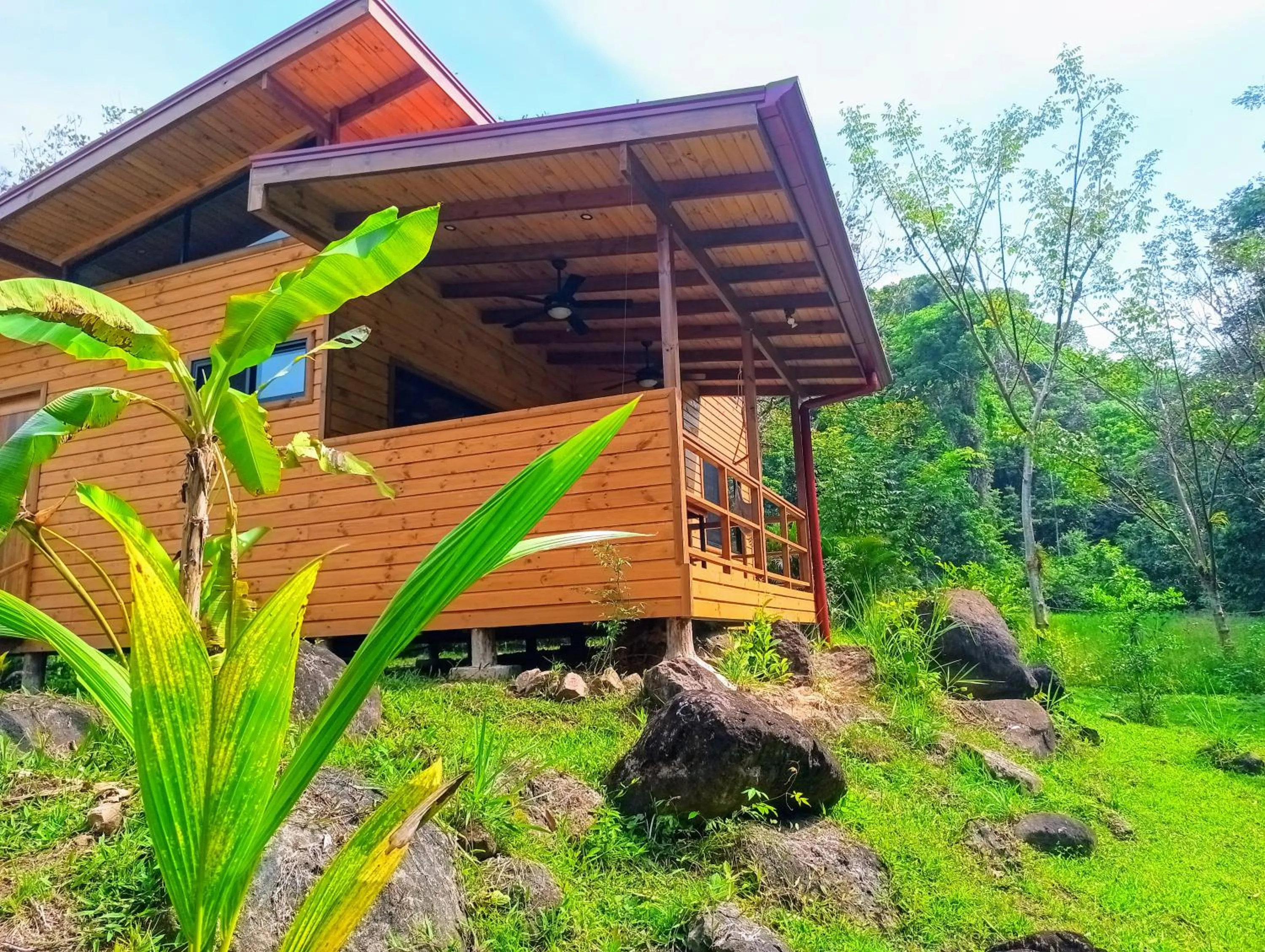 View (from property/room) in Thoas Lodge