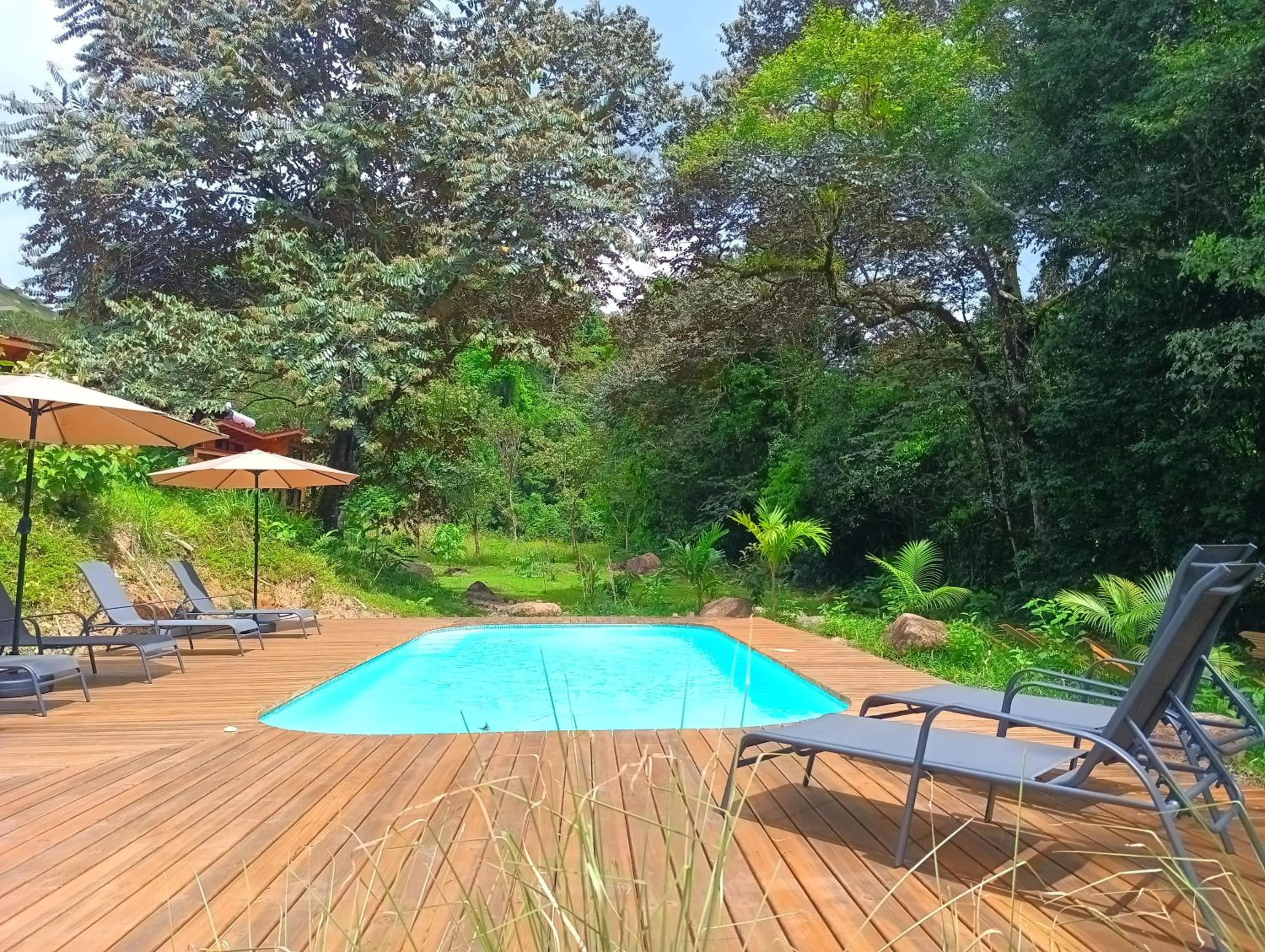 Swimming pool in Thoas Lodge