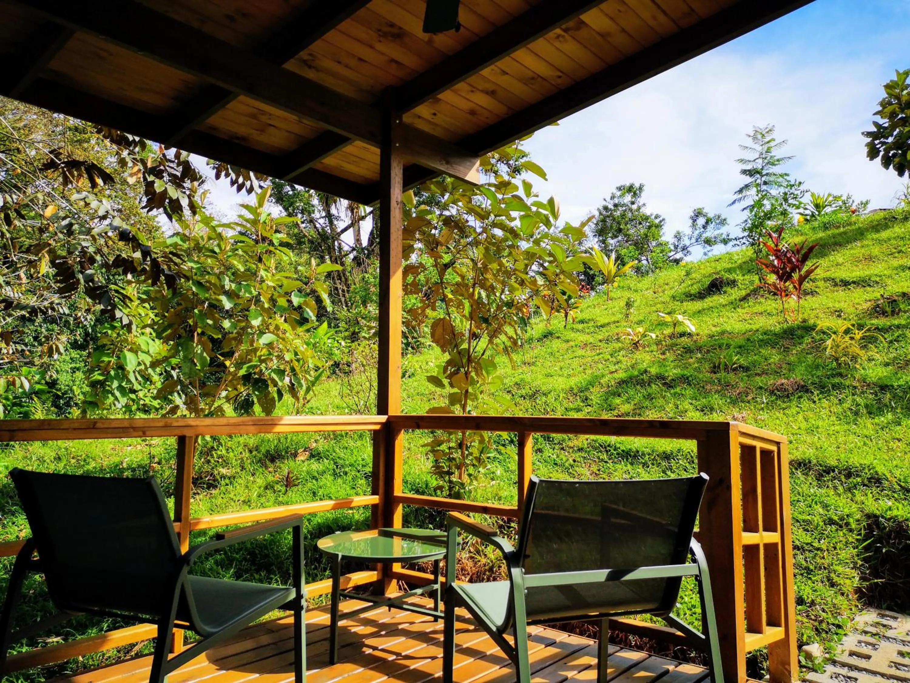 View (from property/room) in Thoas Lodge