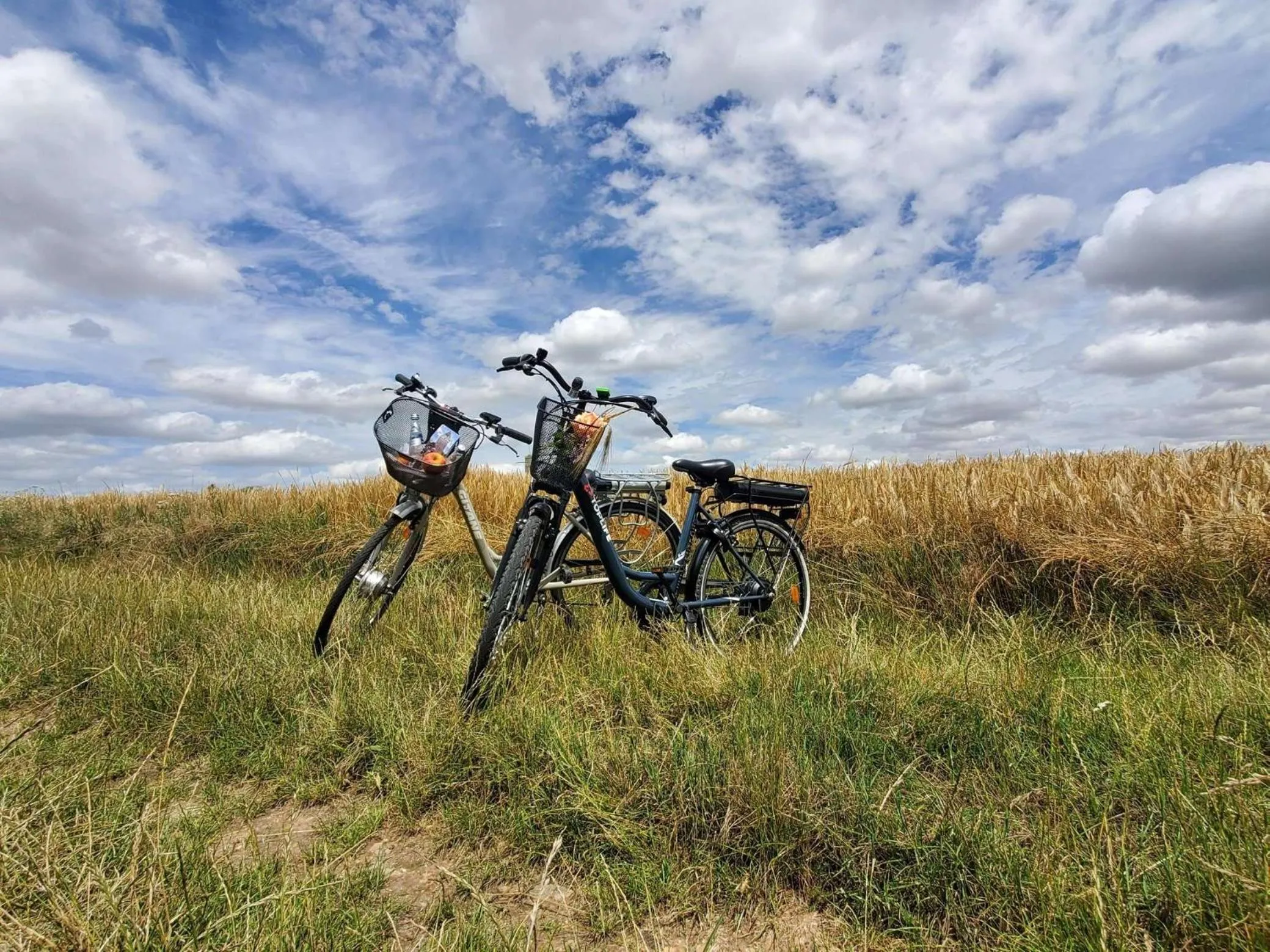 Day in Hôtel du Château Bois Guibert