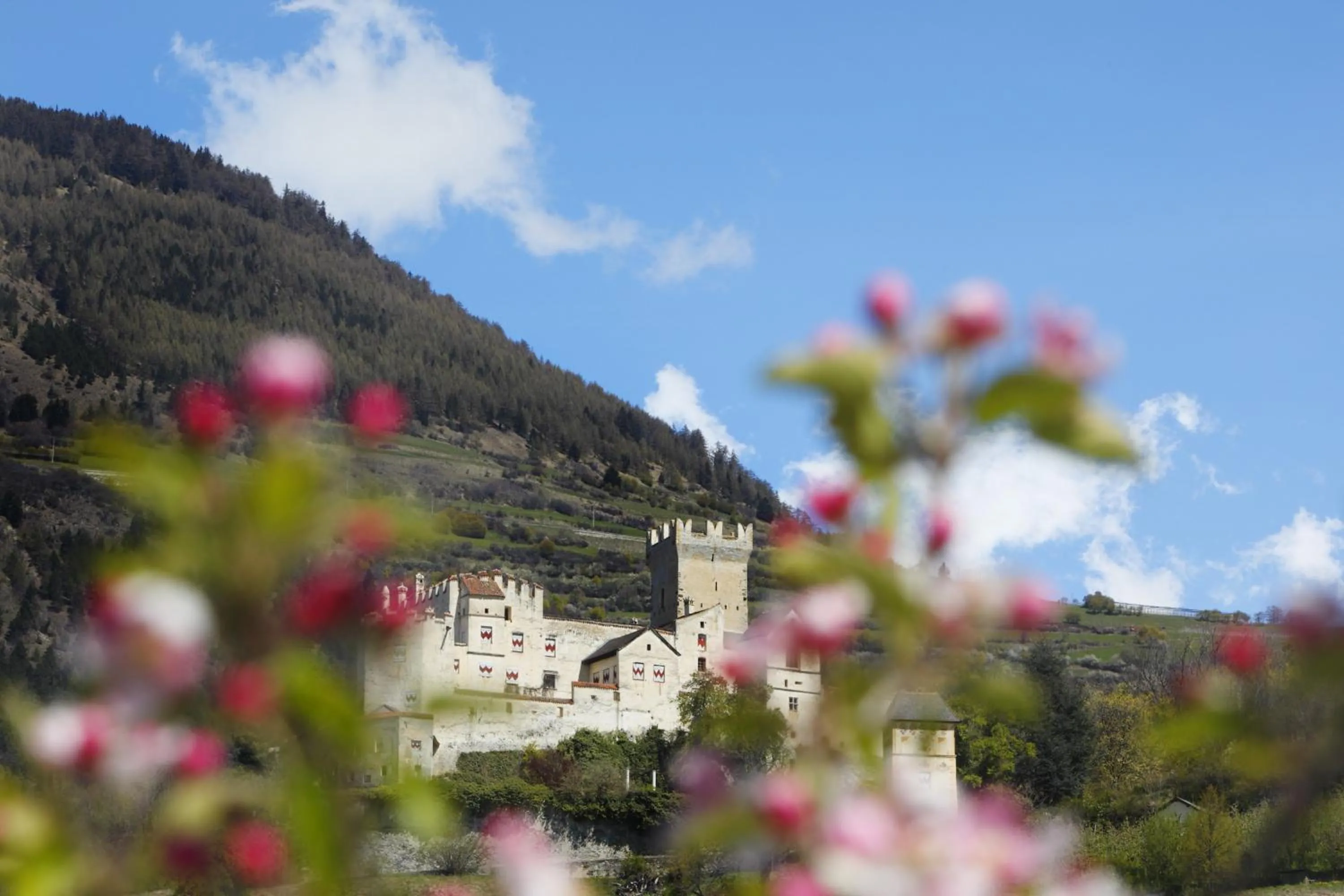 Nearby landmark in Sankt Johann Spa Suites & Apartments