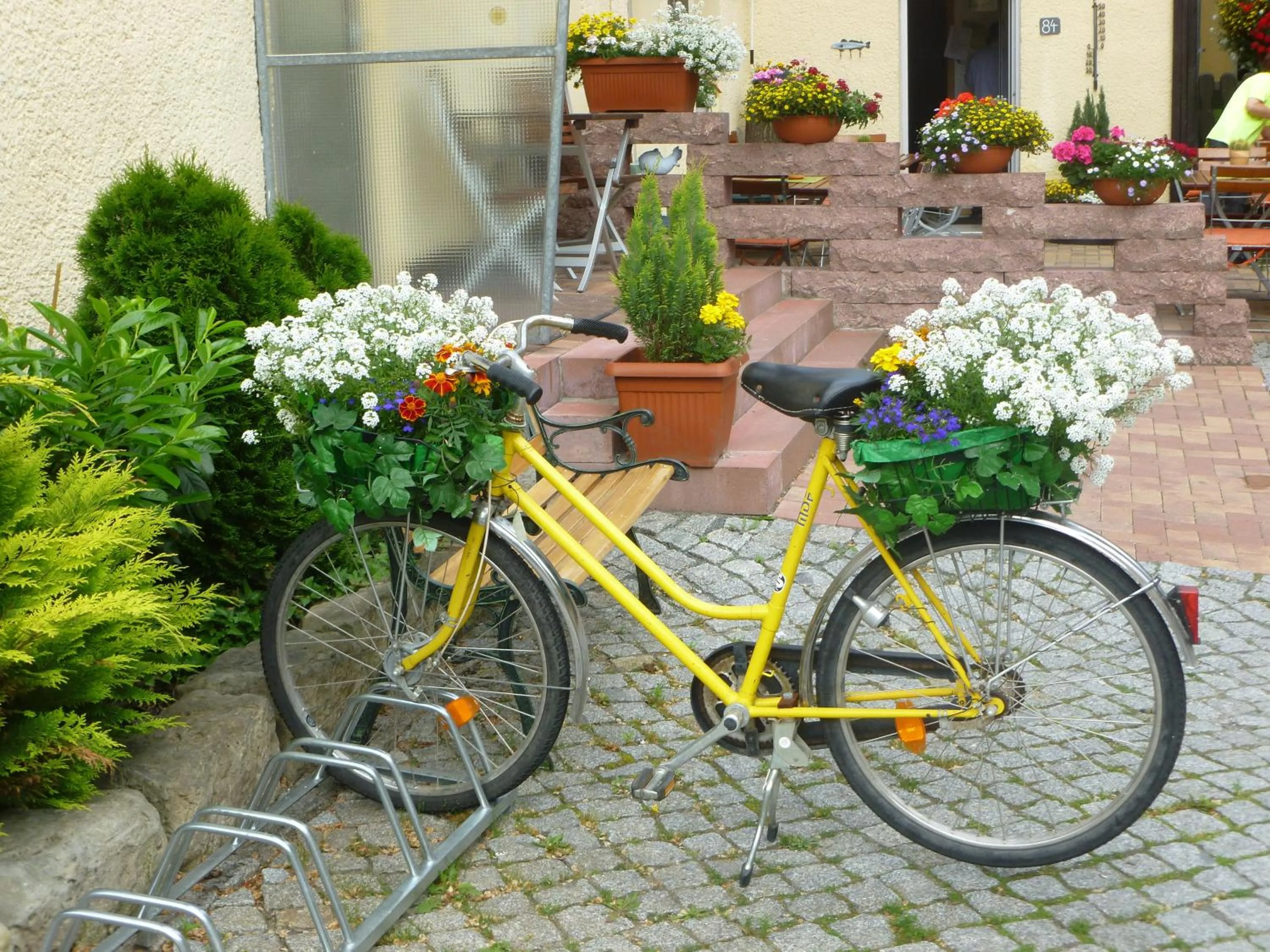 Garden in Gasthaus Forelle