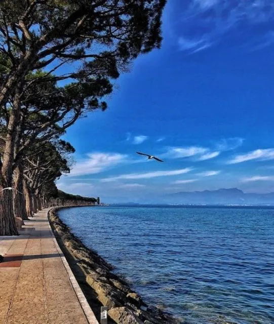Natural landscape in Hotel Nuova Barcaccia
