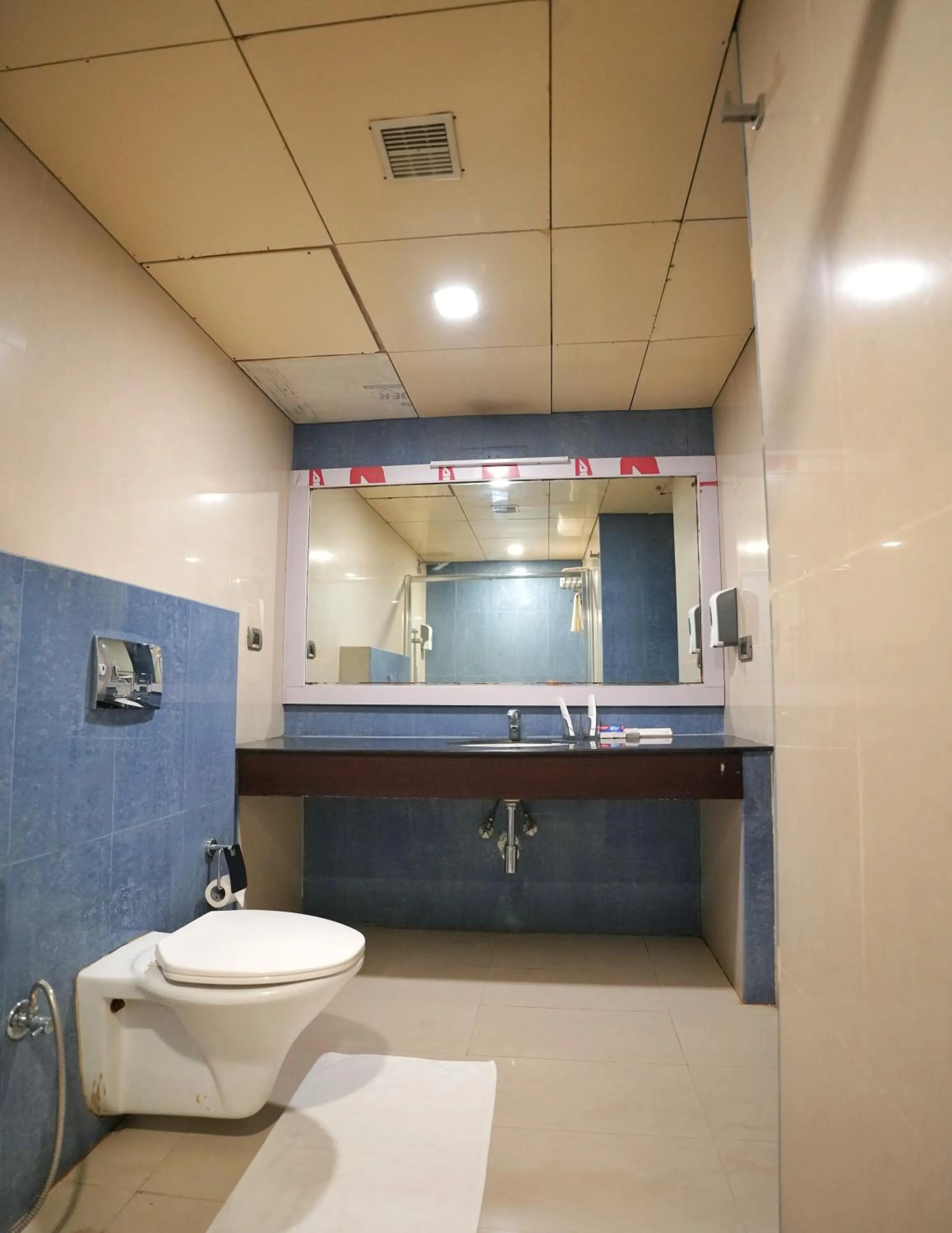 Bathroom in The Altruist One Continent