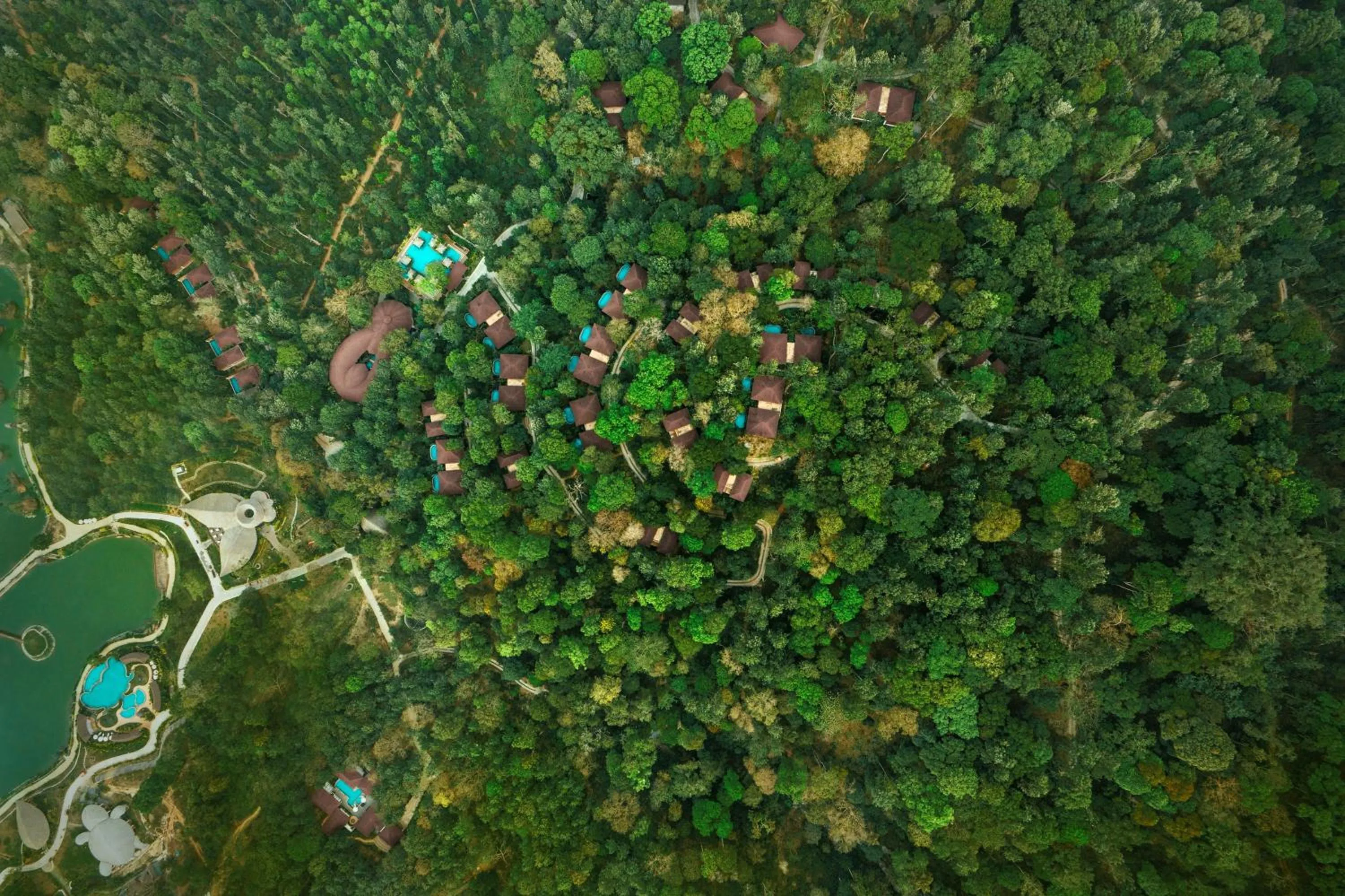 Timbertales Luxury Resort Coorg