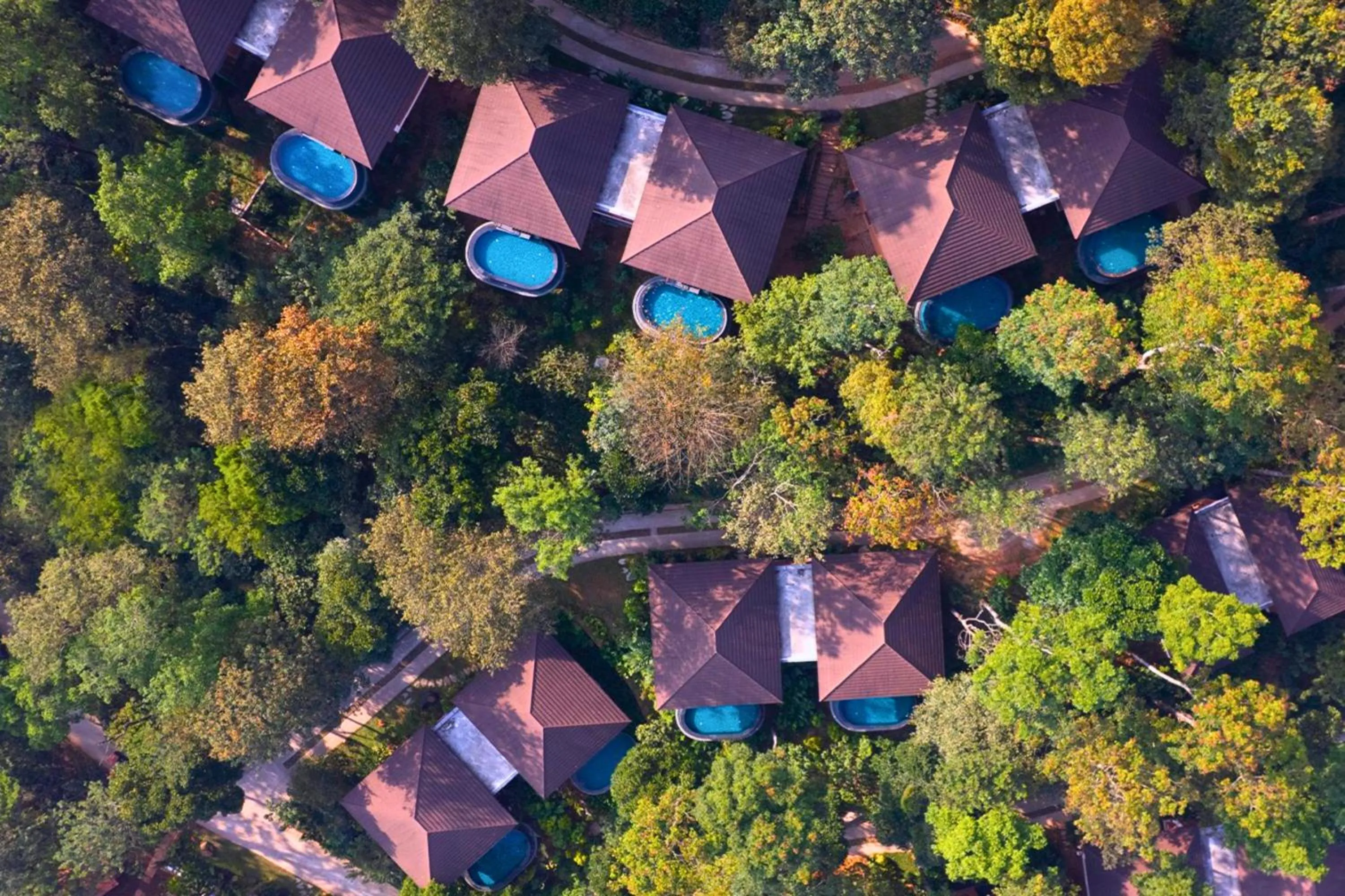 Timbertales Luxury Resort Coorg