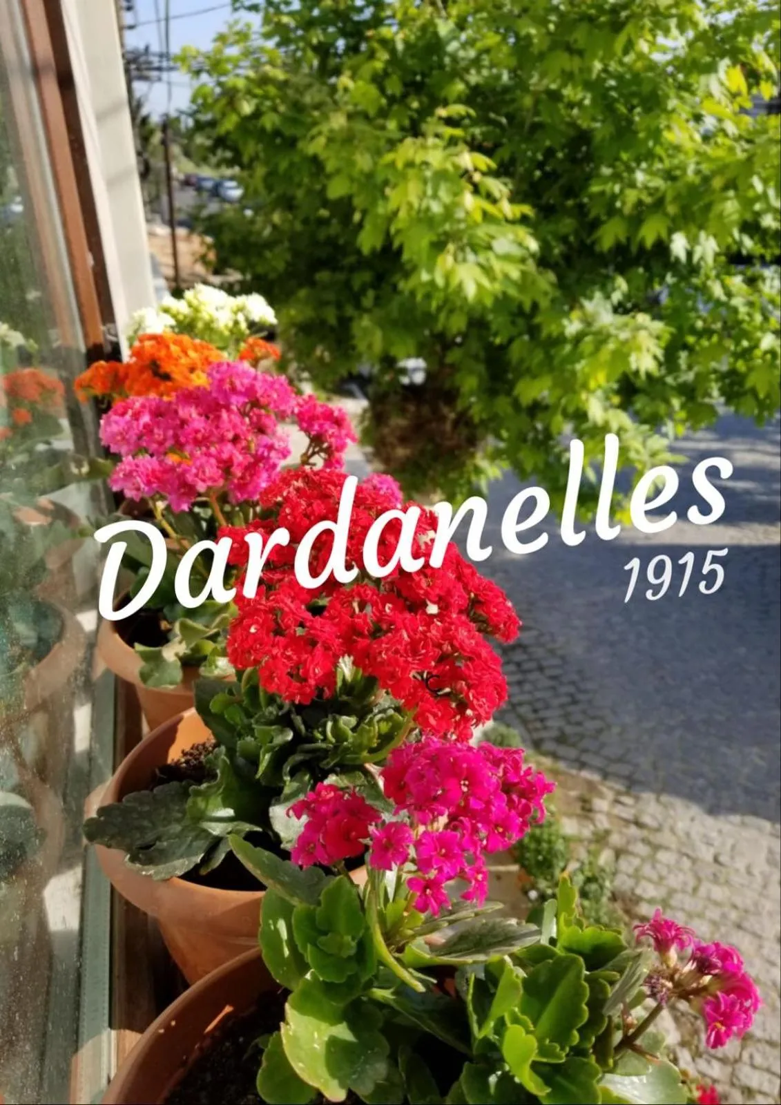 Logo/Certificate/Sign in Dardanelles1915