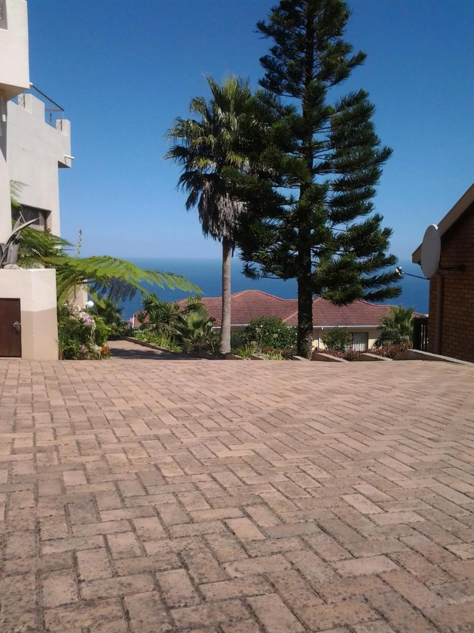 Day in The Third Dolphin