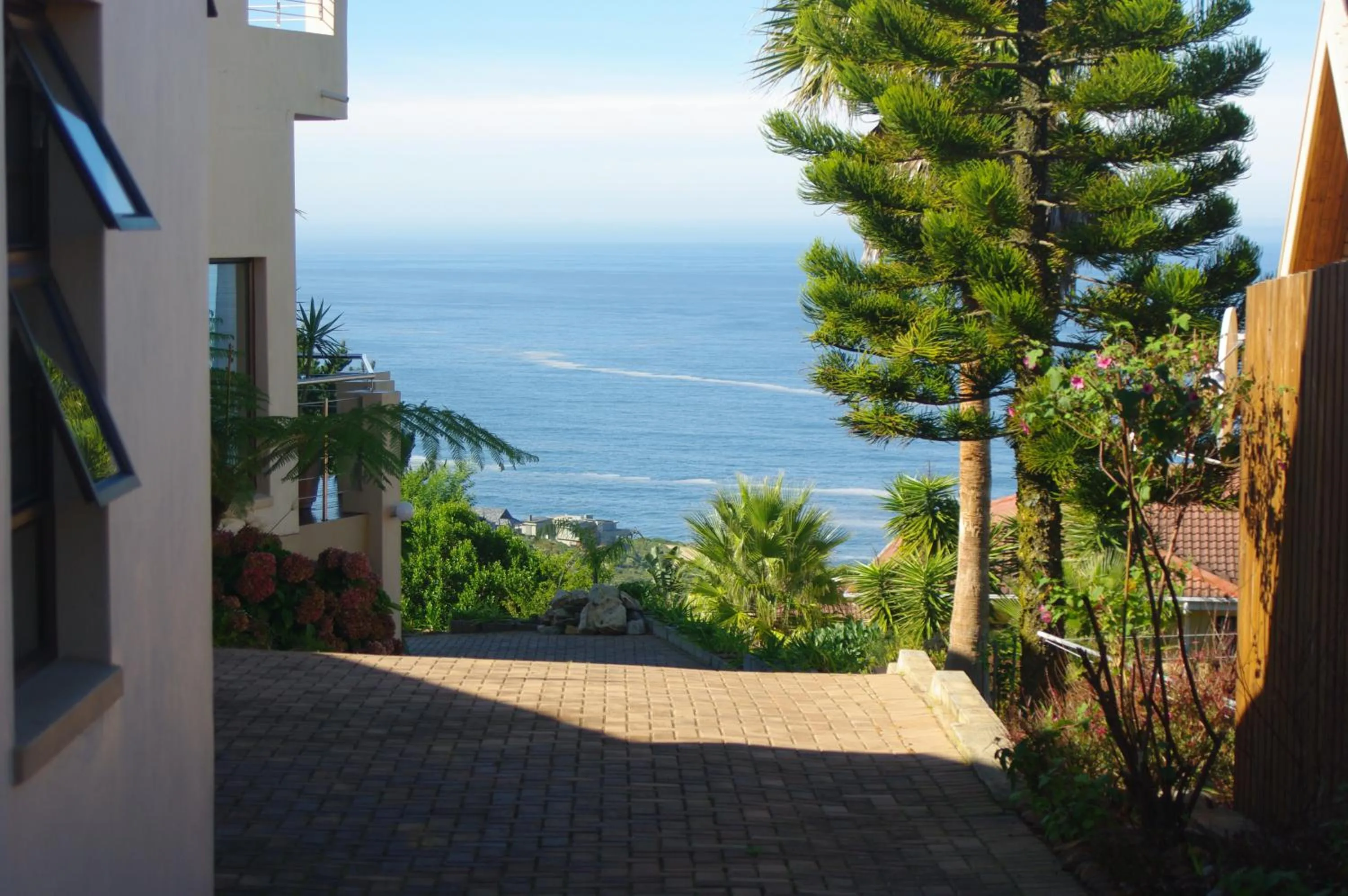 Day in The Third Dolphin