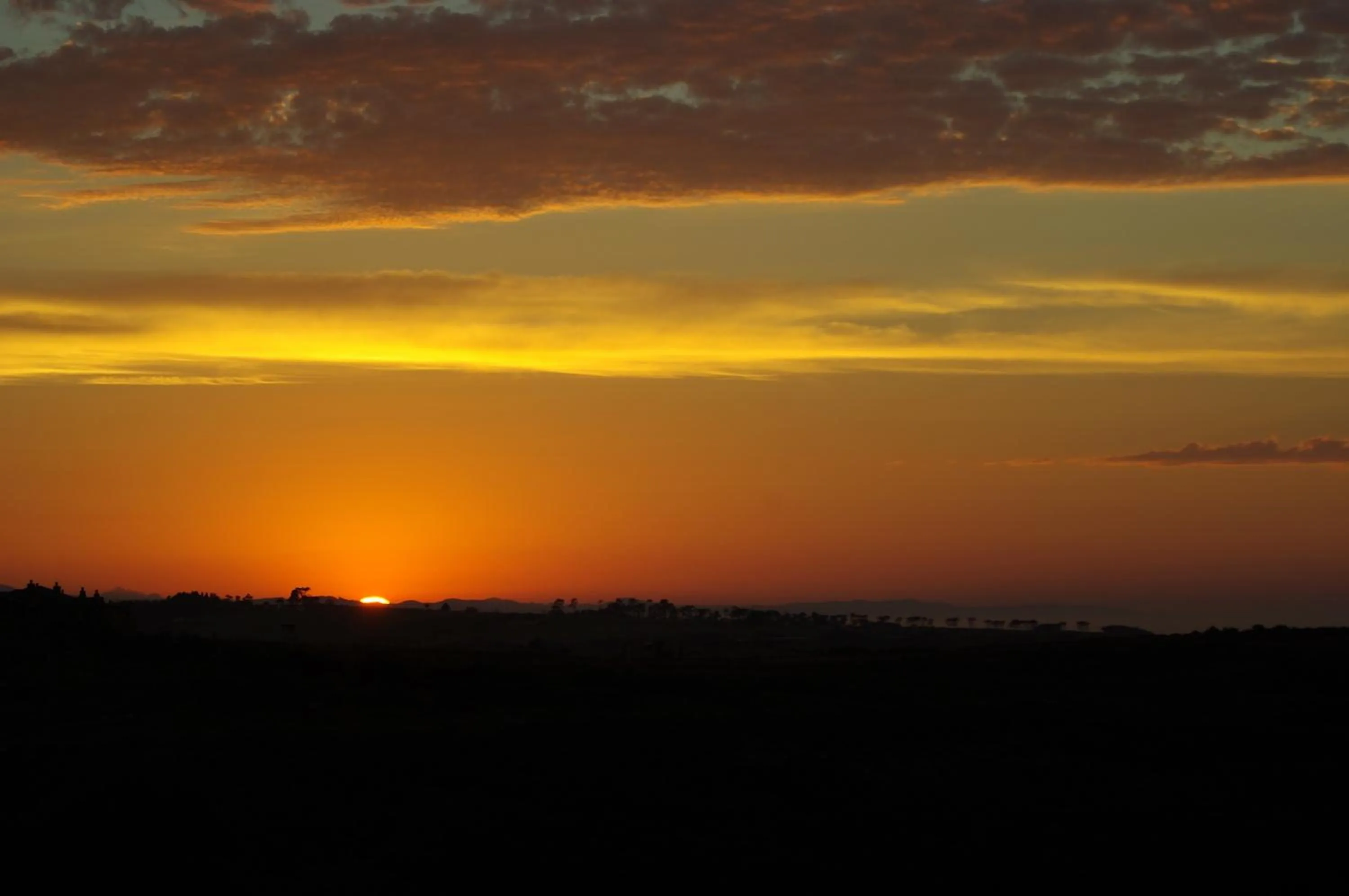 Summer in The Third Dolphin