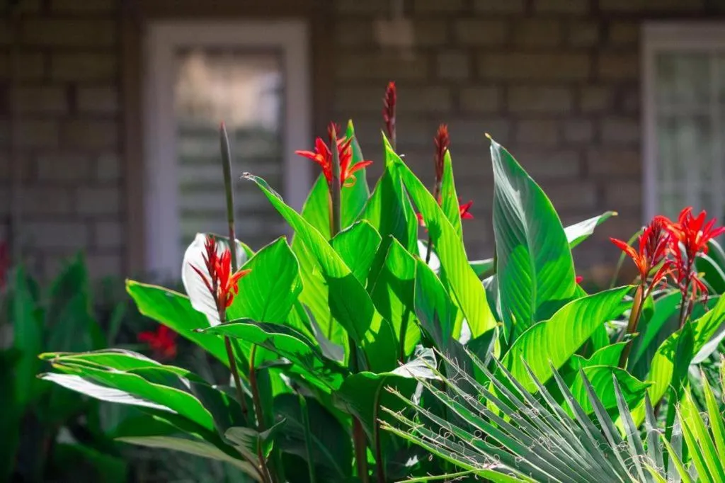 Spring in Kampüs Garden