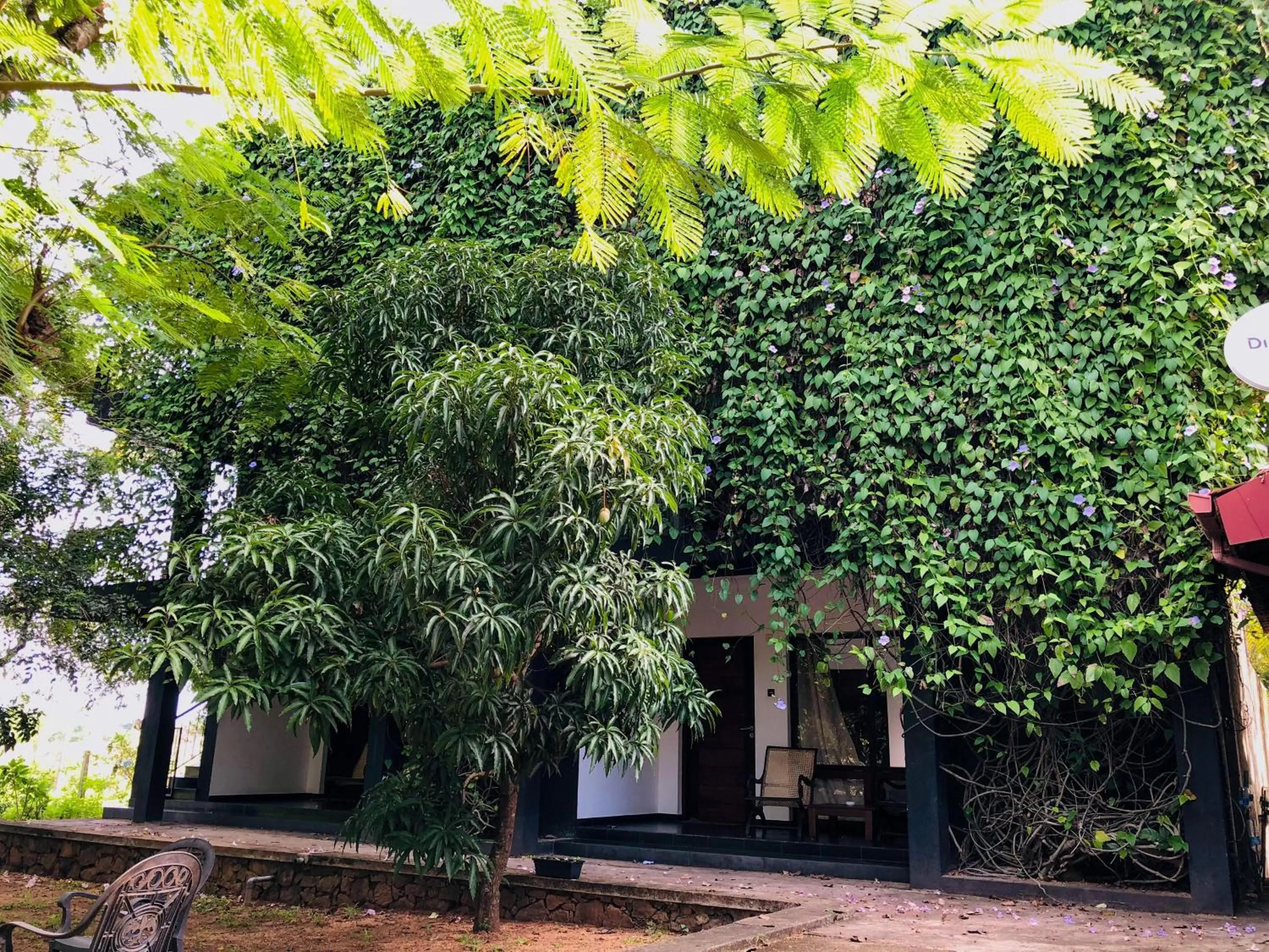 Property building in Dambulla Rock Arch