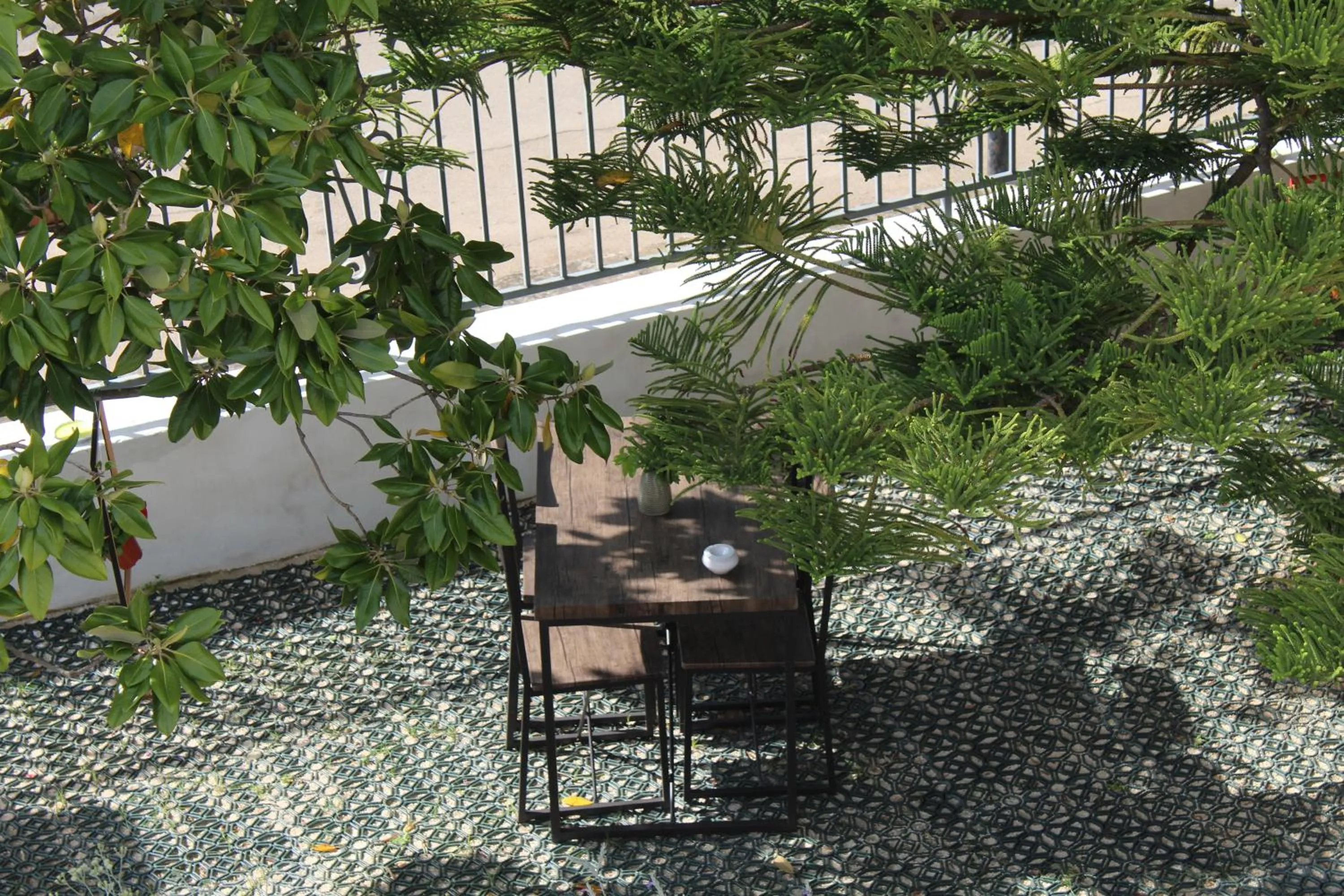 Patio in Mediterraneo B&B